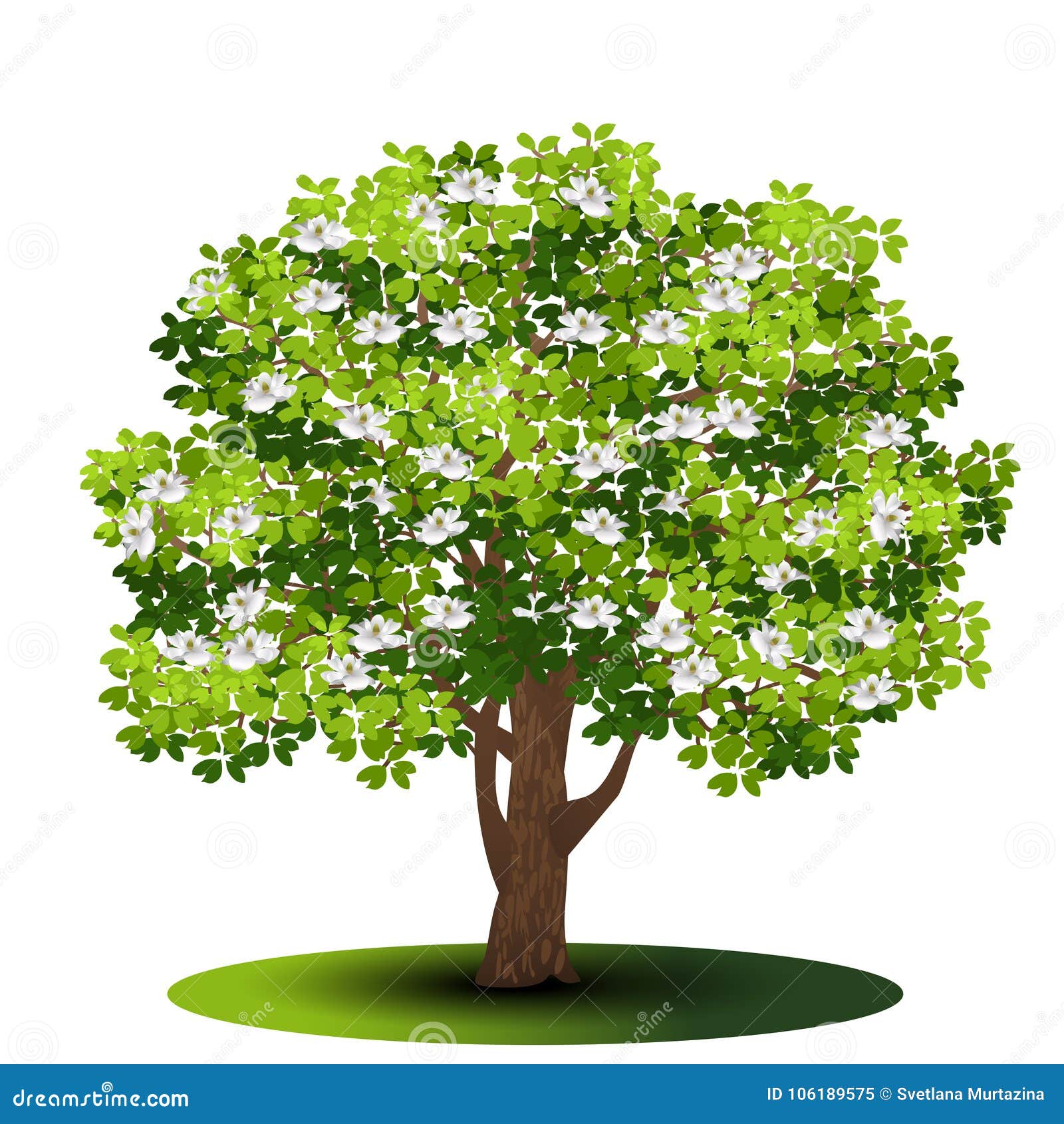 与绿色叶子和花的分隔的树木兰向量例证 插画包括有要素 白杨树 增长 没人 树干 生活
