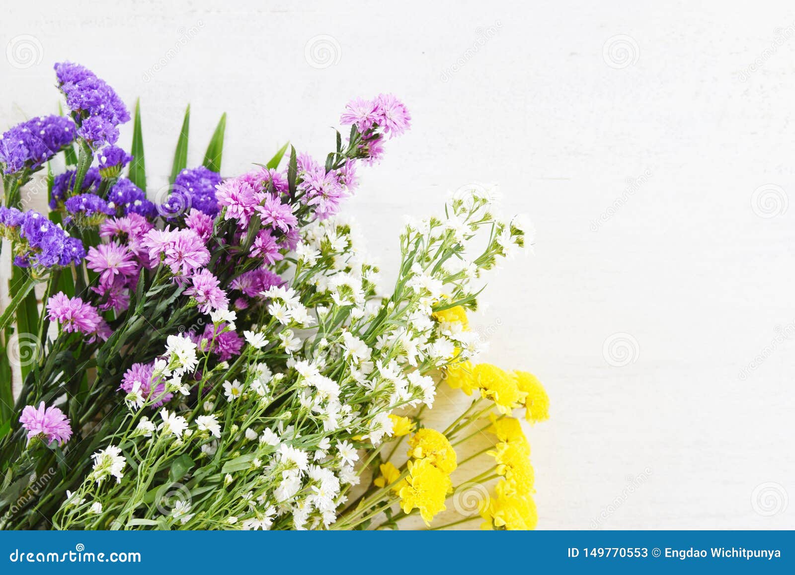 与黄色妈咪 延命菊紫色和白色切削刀花的花束新春天五颜六色的花在白色木库存图片 图片包括有查出 题头