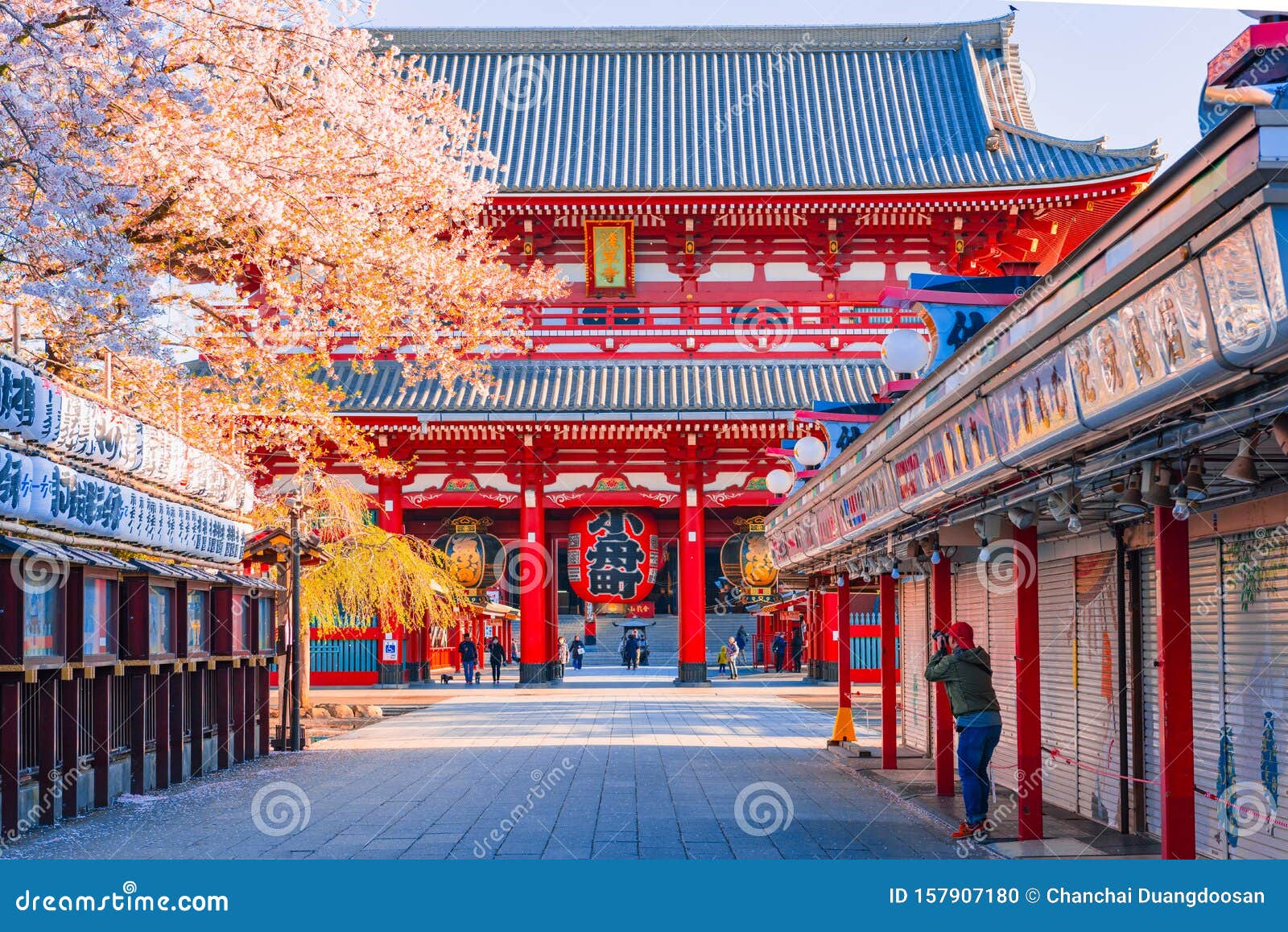 东京 16年4月9日 樱花 浅草仙草寺是东京最古老的寺庙之一 是浅草神庙中编辑类图片 图片包括有