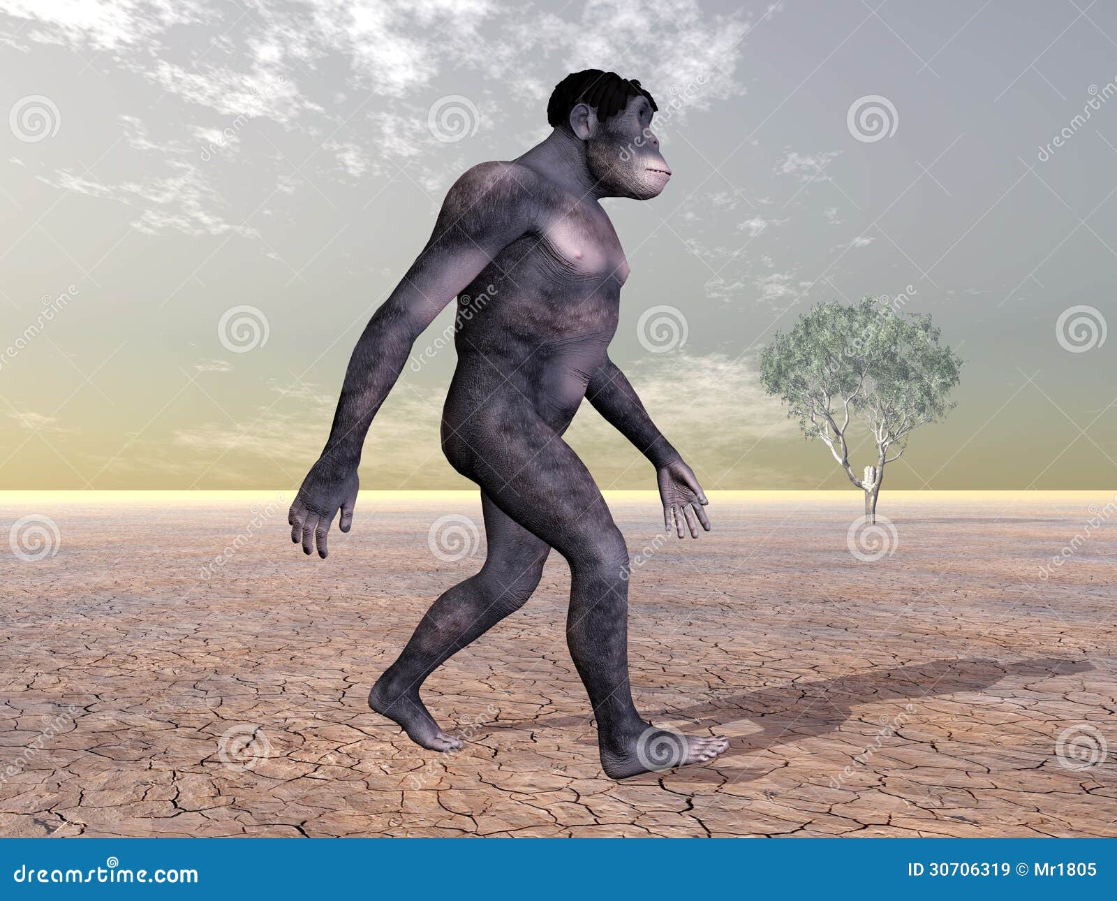 东非猿人 人类演变库存例证 插画包括有人类演变 东非猿人