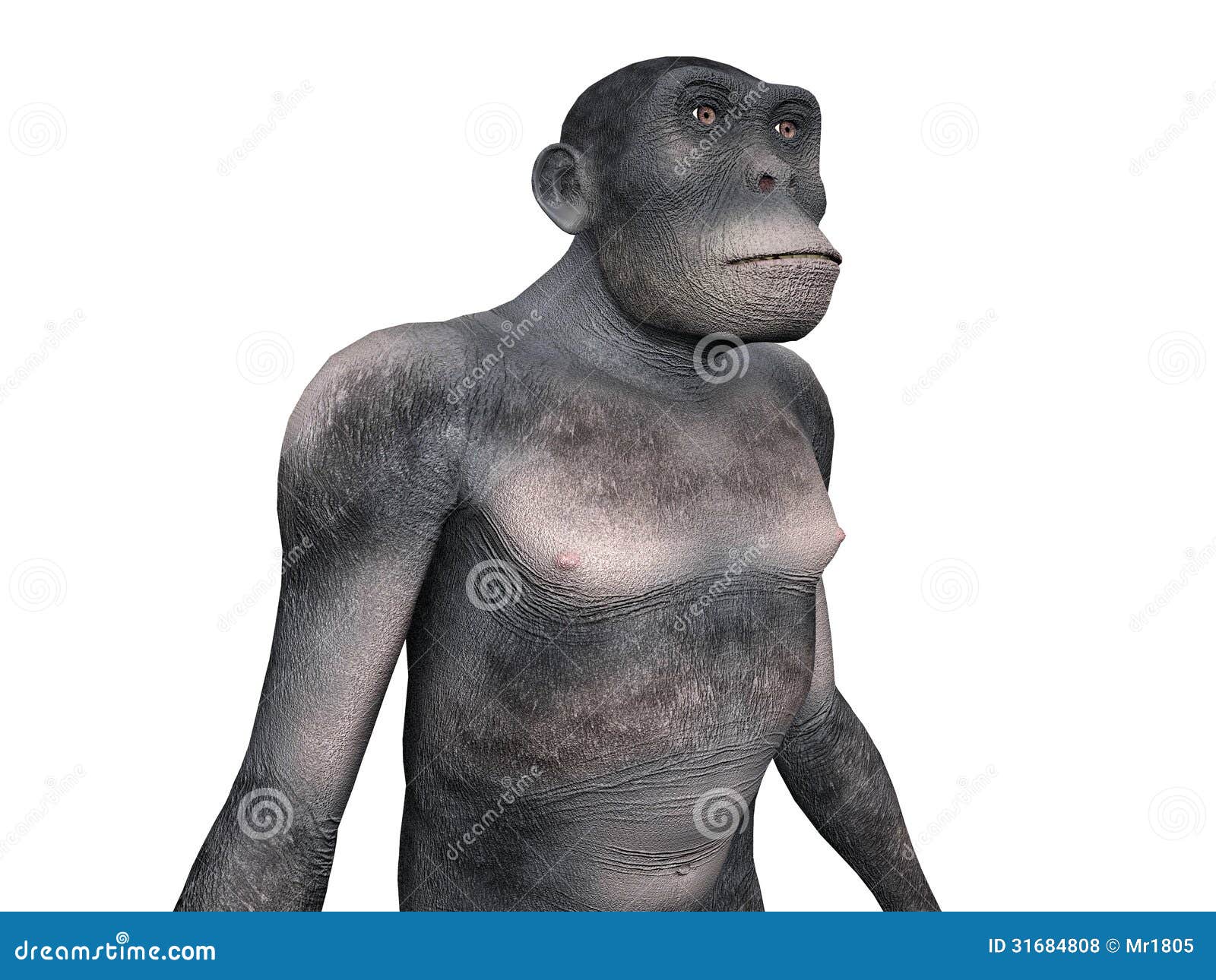 东非猿人 人类演变库存例证 插画包括有人类演变 东非猿人