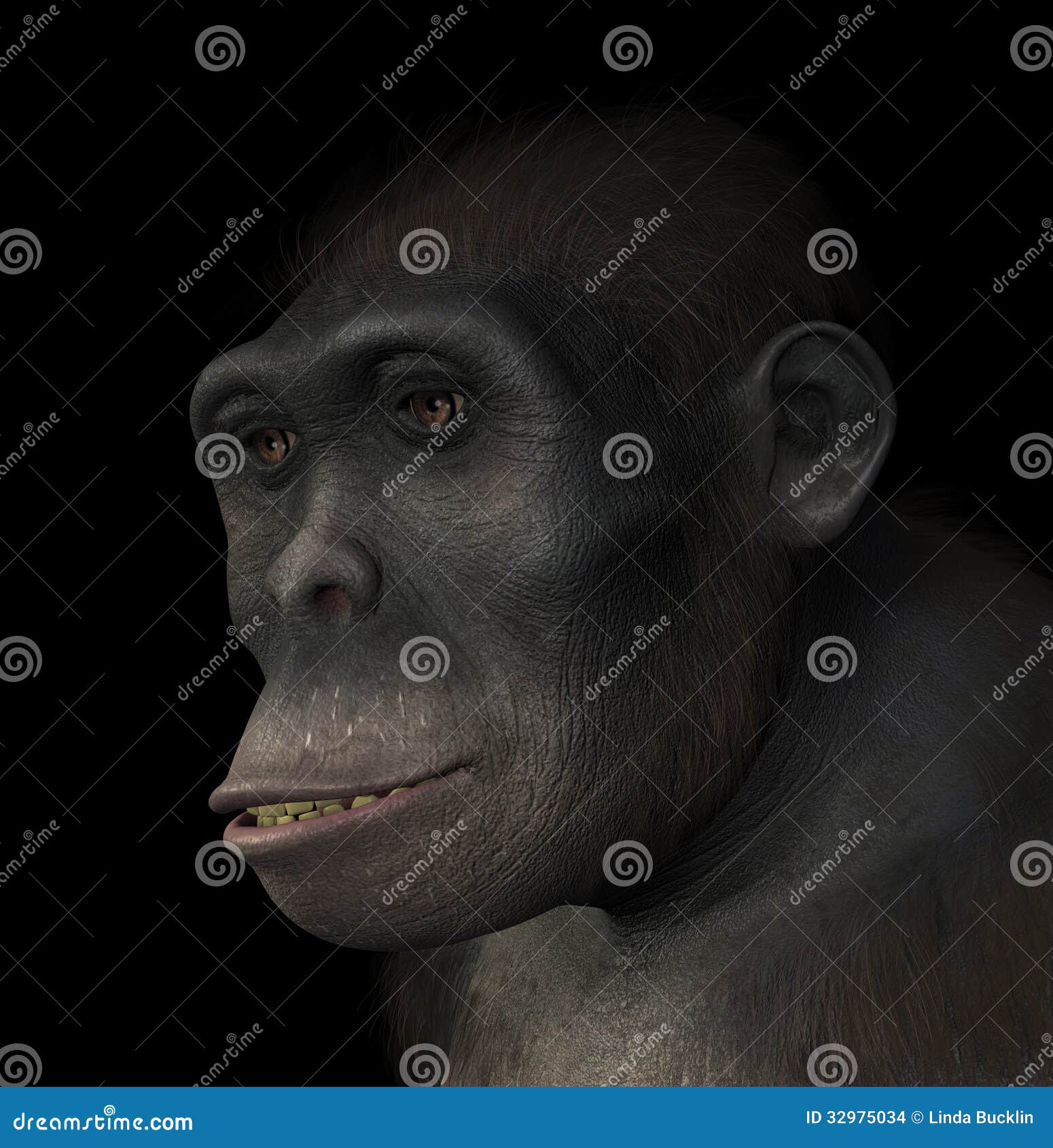 东非猿人画象库存例证 插画包括有东非猿人画象