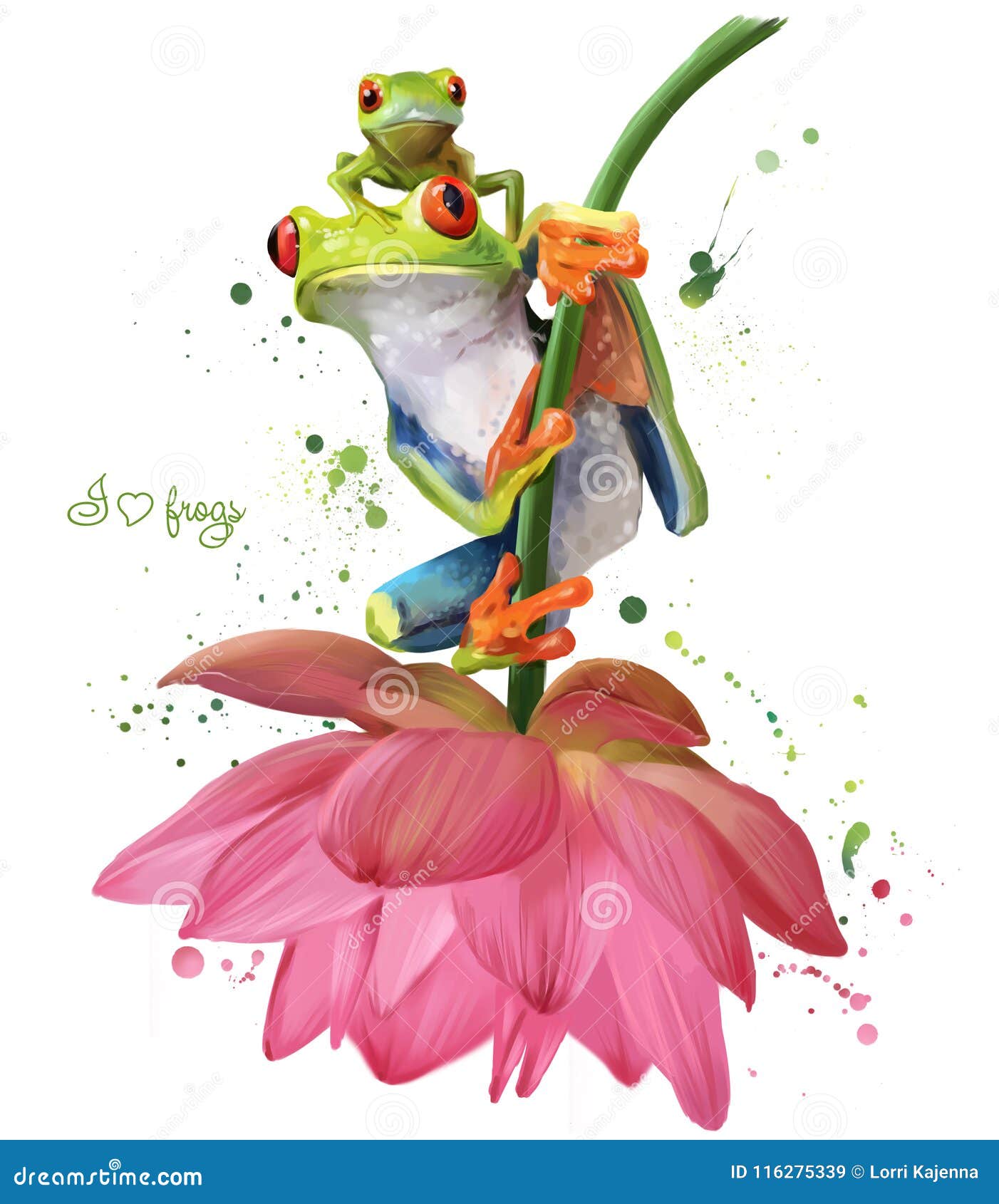 两只池蛙坐花水彩图画库存例证 插画包括有绿色 结构树 例证 生活 注视 动画片 热带
