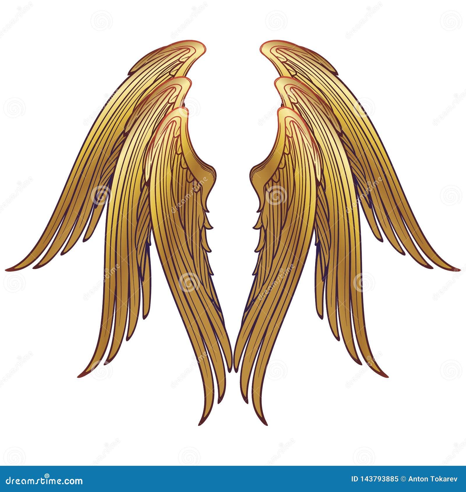 6个飞过的六翼天使翼模板库存例证 插画包括有人员 例证 信念 典雅 图画 祝福 上帝