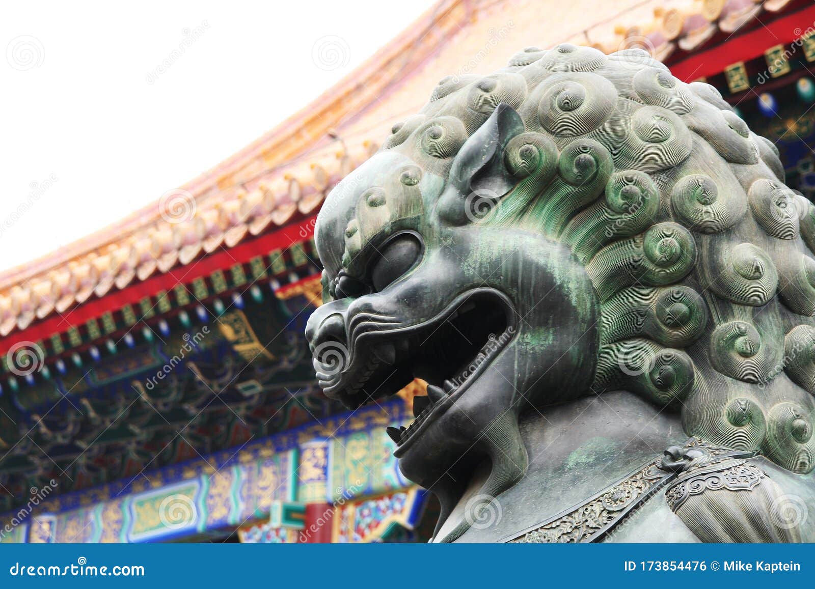 中国紫禁城 狮龙库存照片 图片包括有城市 表面 汉语 狮子 眼睛 禁止 背包 特写镜头