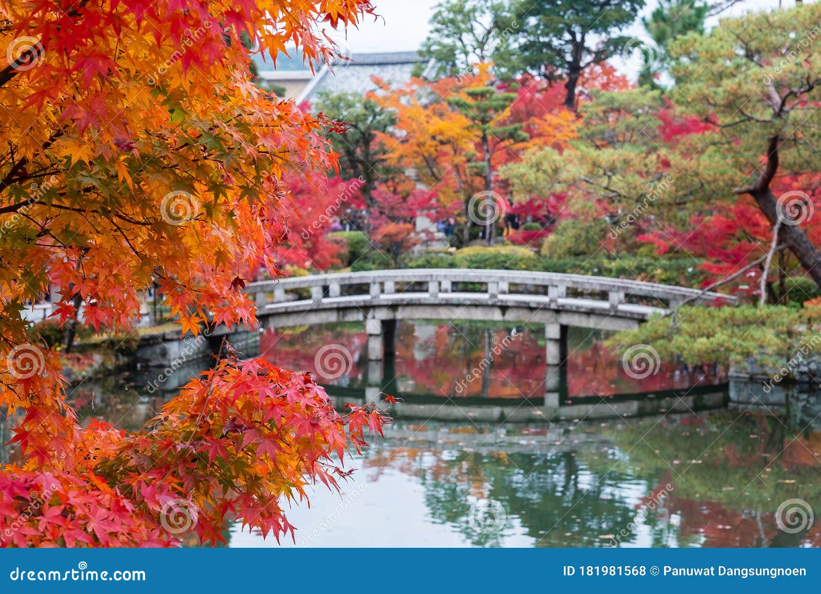 五颜六色的叶子和风景艾甘多寺石桥和池塘背景 秋季叶季美丽的自然花园 库存照片 图片包括有日语 槭树 五颜六色的叶子和风景艾甘多寺石桥和池塘背景 秋季叶季美丽的自然花园 库存照片 图片包括有日语 槭树