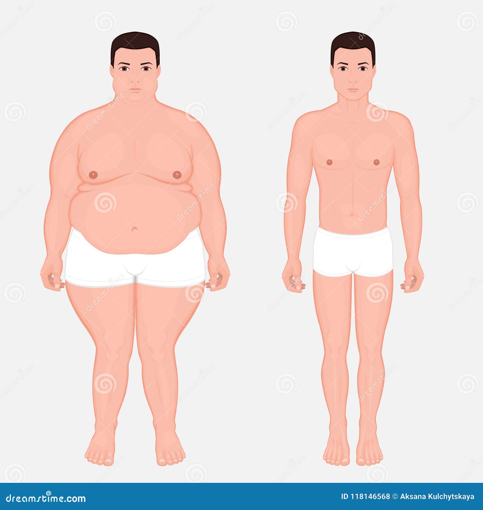 人体在欧洲人正面图的anatomy Weight损失向量例证 插画包括有