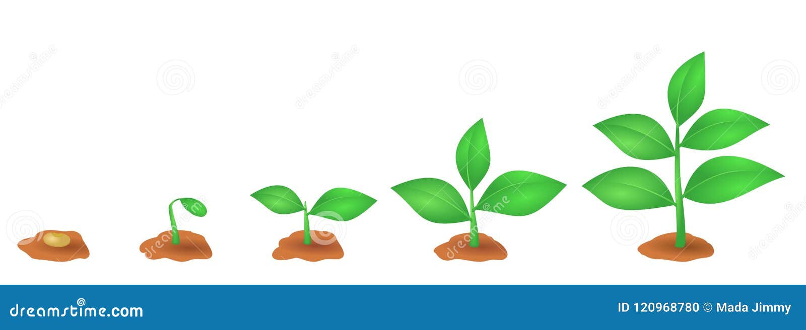 从种子的生长植物在土壤库存照片 插画包括有工厂 绿色 例证 地球 农场 蔬菜 增长 从种子的生长植物在土壤库存照片 插画包括有工厂 绿色 例证 地球 农场 蔬菜 增长