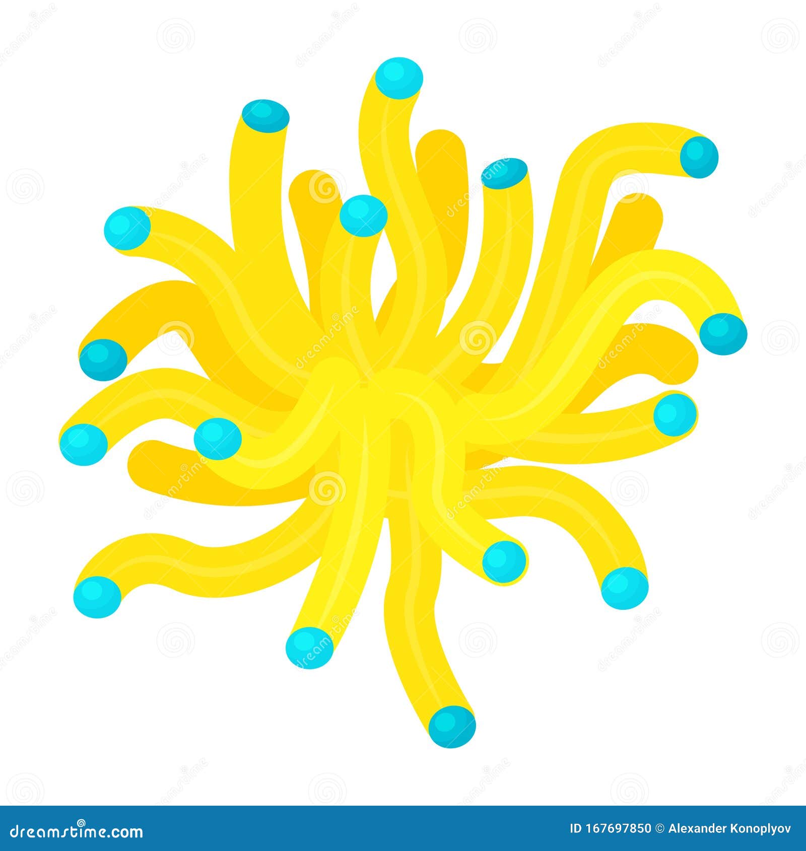 仙人掌黄图标 美丽的海葵向量例证 插画包括有宏指令 海洋 水产养殖 异乎寻常 动画片 活动家