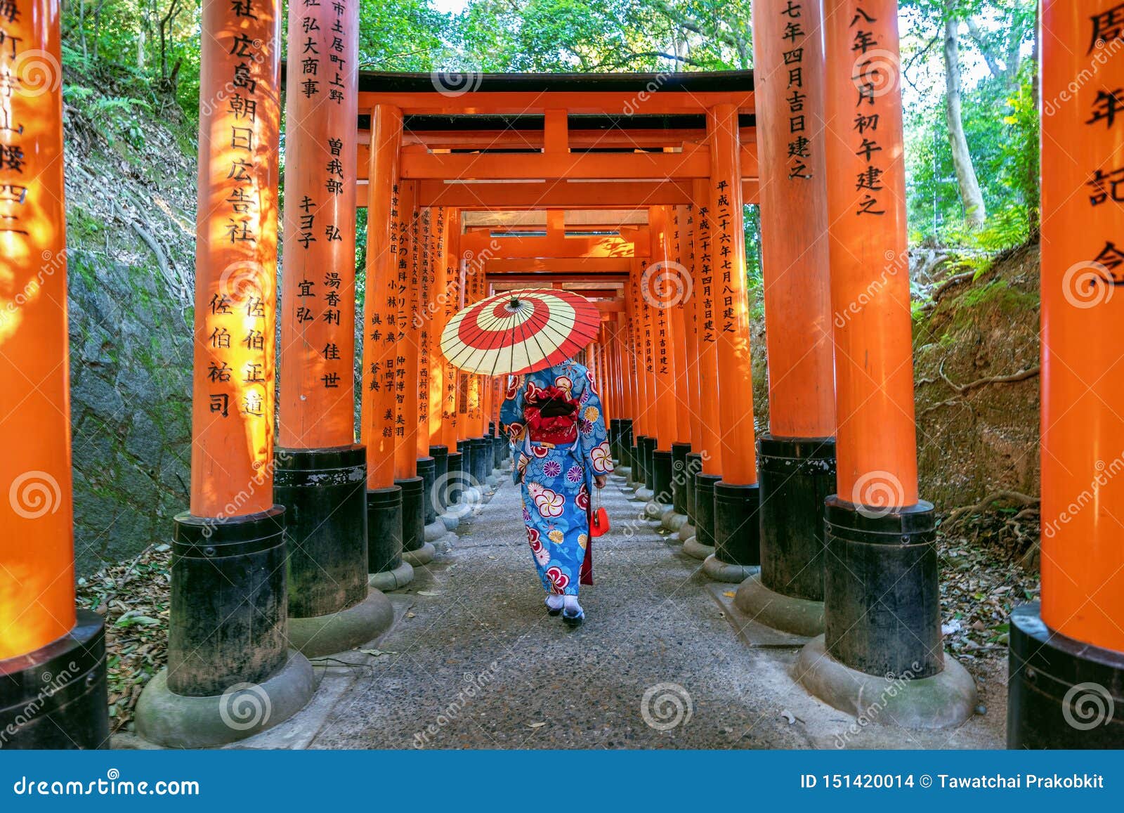 传统日本和服的亚裔妇女在fushimi稻荷神社在京都 日本库存照片 图片包括有礼服 京都 传统日本和服的亚裔妇女在fushimi稻荷神社在京都 日本库存照片 图片包括有礼服 京都