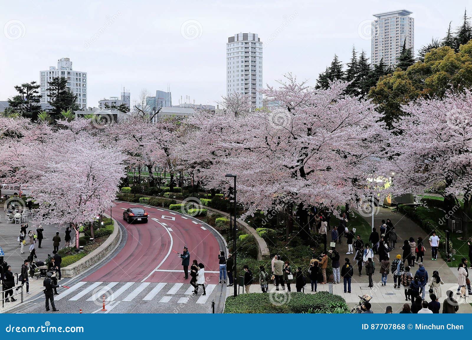 佐仓matsuri节日美好的风景在六本木编辑类库存照片 图片包括有佐仓matsuri节日美好的风景在六本木