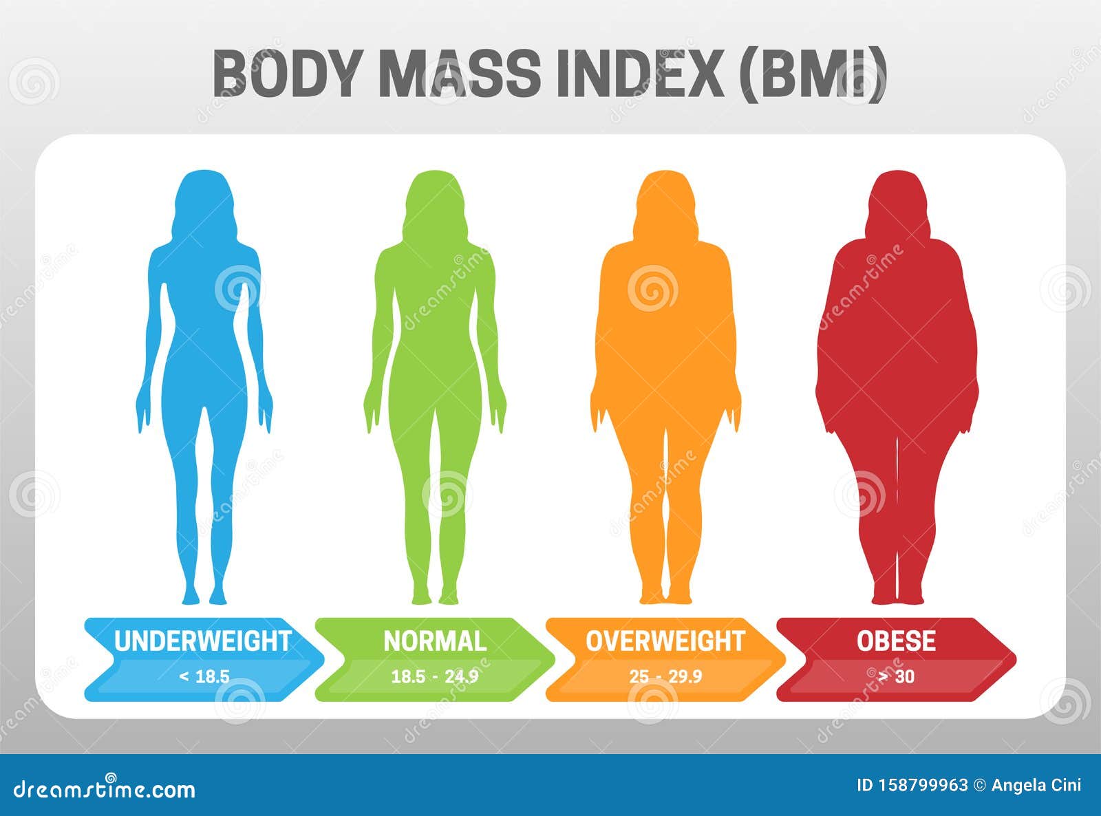 体重指数体质指数矢量图与女性体型从体重不足到肥胖的图解不同体重的肥胖程度向量例证 插画包括有