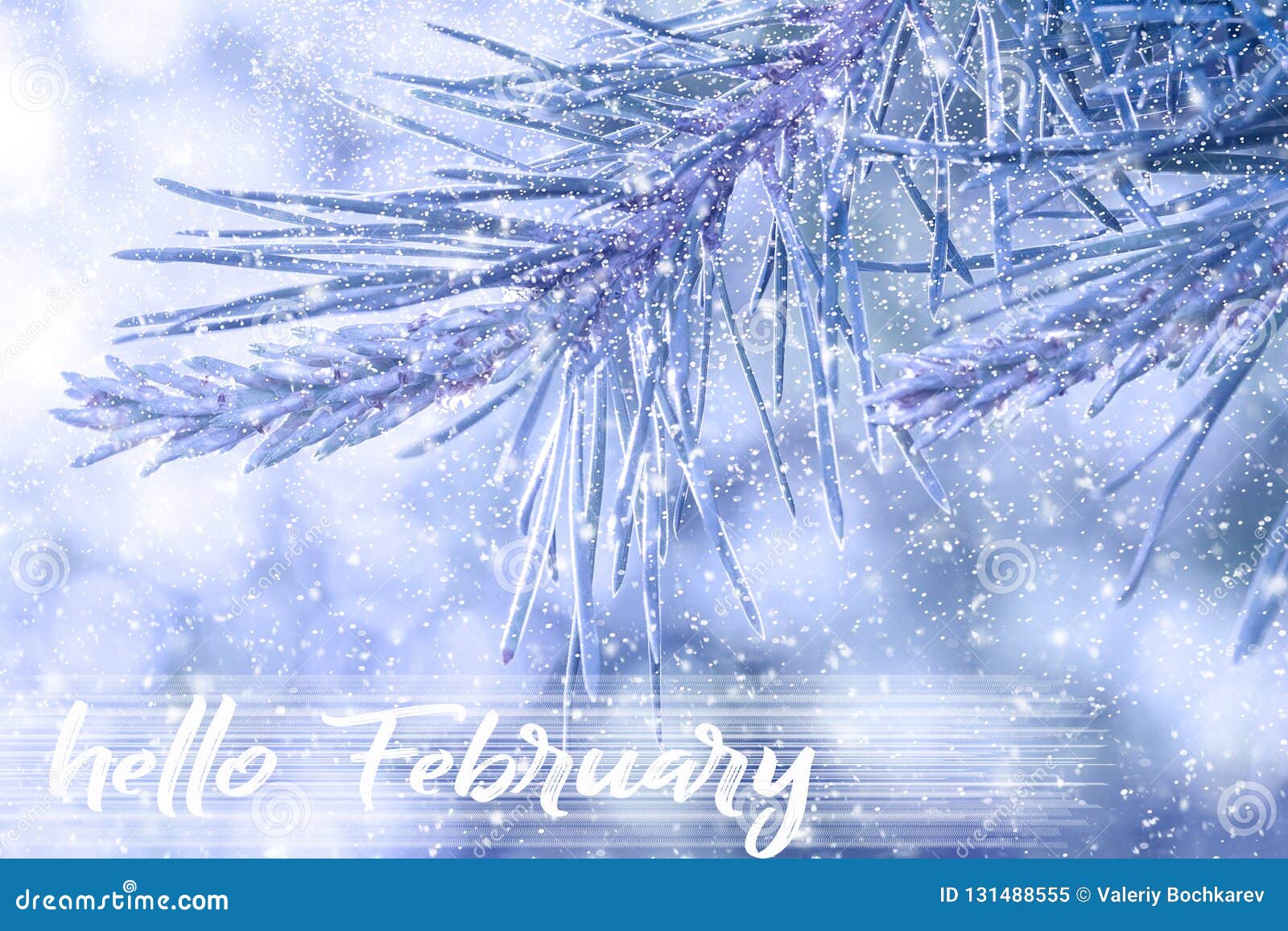 你好2月贺卡 寒假概念 在雪的冷杉分行 库存图片. 图片 包括有 季节, 绿色, 蓝色, 冻结, 结构树 - 131488555
