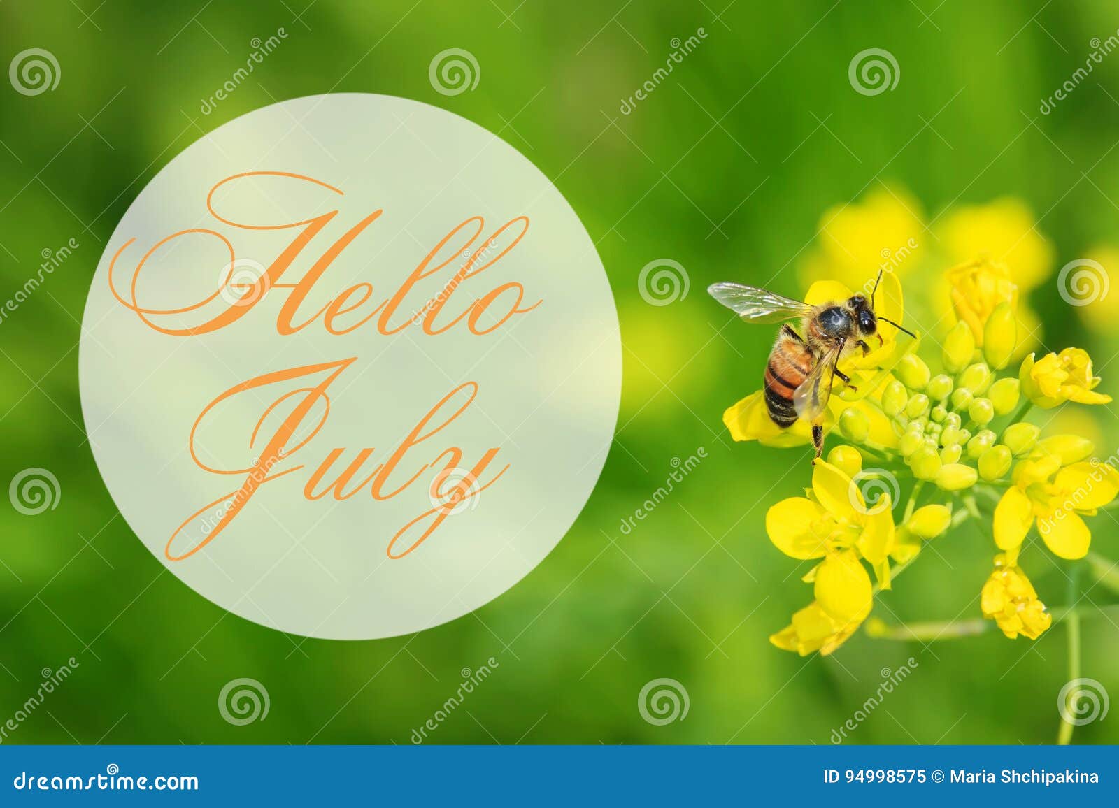 你好7月贺卡有夏天背景库存图片 图片包括有 你好7月贺卡有夏天背景库存图片 图片包括有