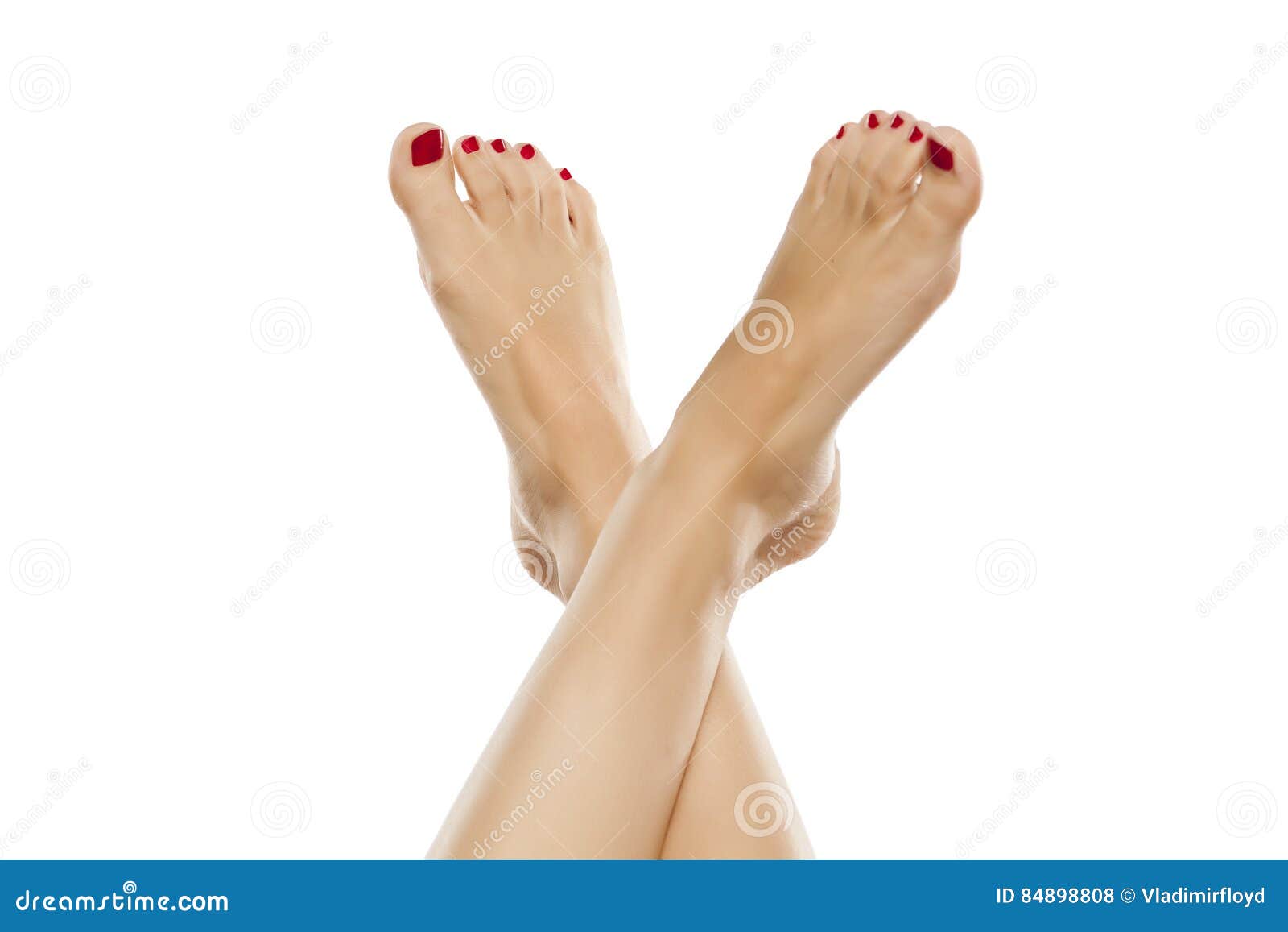 修饰的女性脚库存照片 图片包括有修饰的女性脚 8408