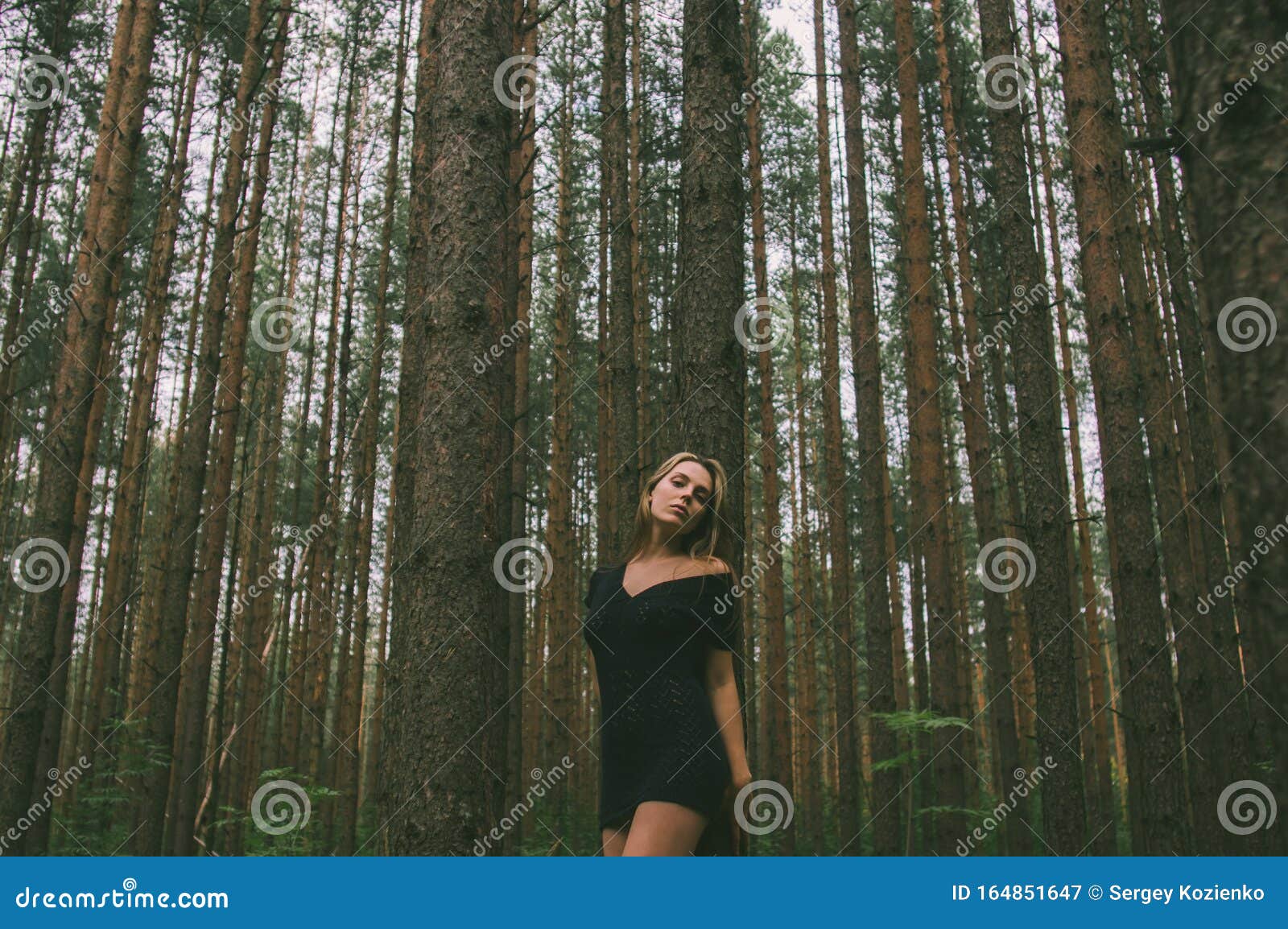 倚树干的森林中美少女画像库存图片 图片包括有许多 倾斜 艺术 本质 行程 自然 投反对票 倚树干的森林中美少女画像库存图片 图片包括有许多 倾斜 艺术 本质 行程 自然 投反对票