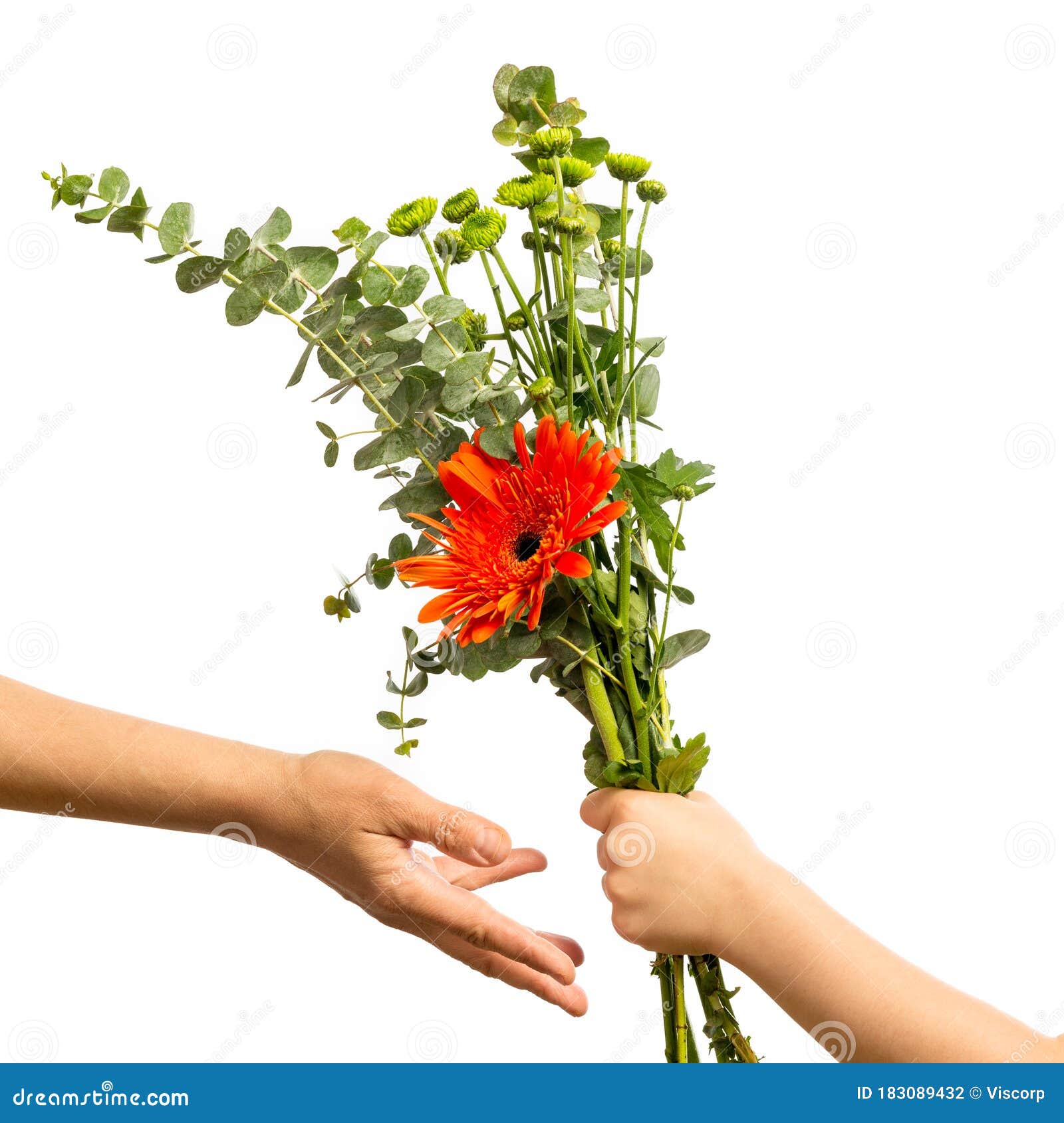 儿童手献花库存照片 图片包括有藏品 花卉 接受 颜色 背包 童年 女孩 本质 现有量