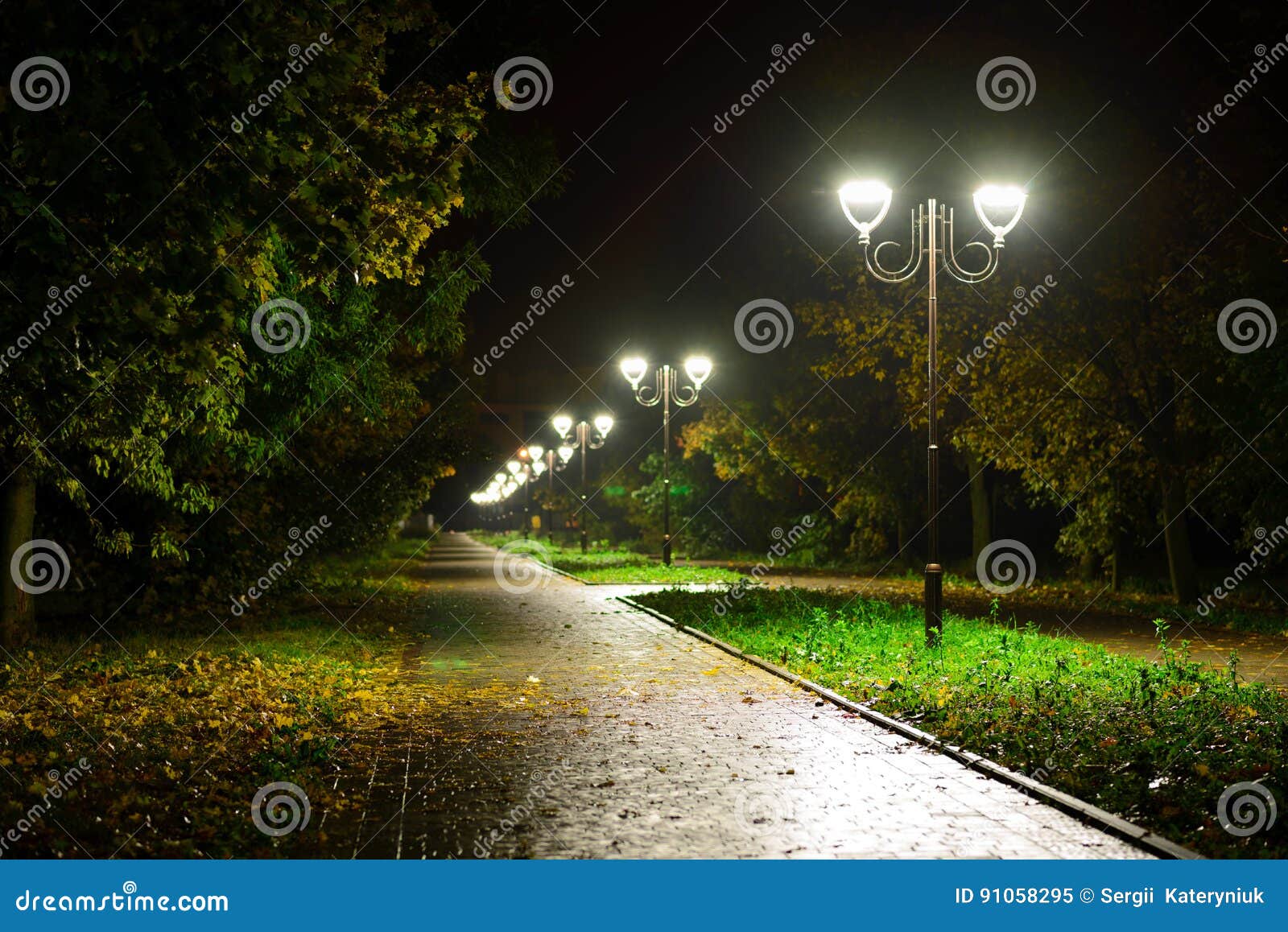 公園夜 Amrowebdesigners Com 公園夜 Amrowebdesigners Com