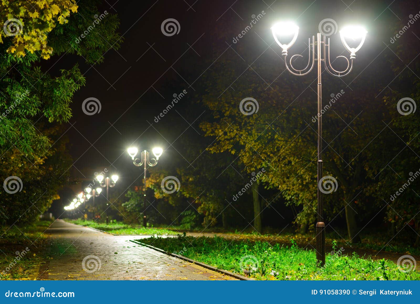 公园夜灯笼灯 胡同走道的看法 路在有树的一个公园和黑暗的天空作为在夏天eveni的背景库存照片 图片包括有庭院 闪亮指示