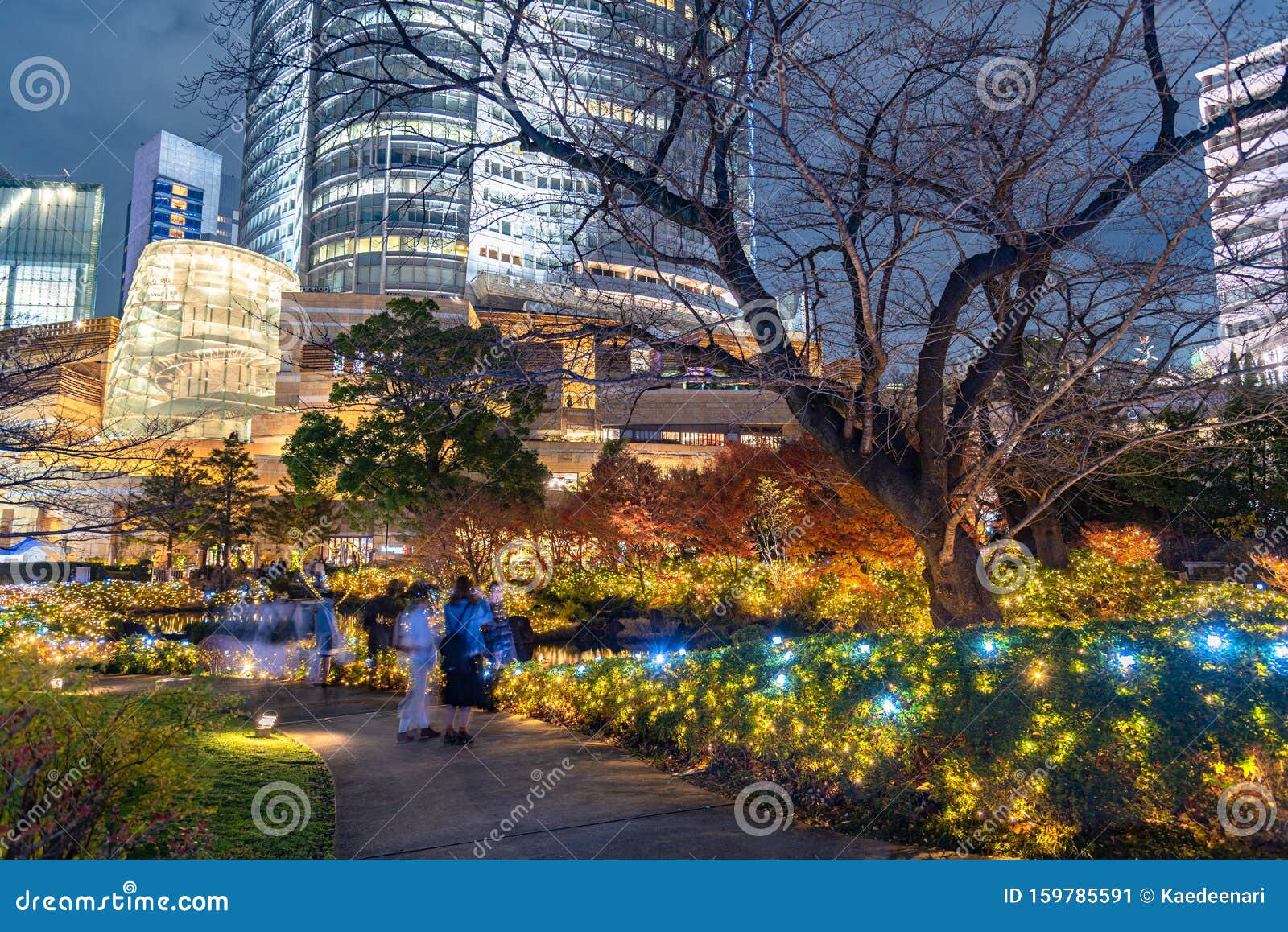六本木山冬季照明节 森公园的夜景编辑类照片 图片包括有