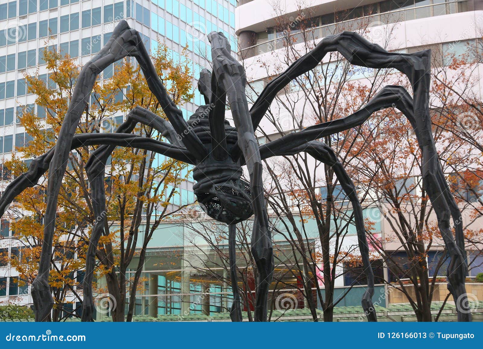 六本木新城蜘蛛编辑类库存照片 图片包括有城市 纪念碑 现代 当代 雕象 蜘蛛 发展