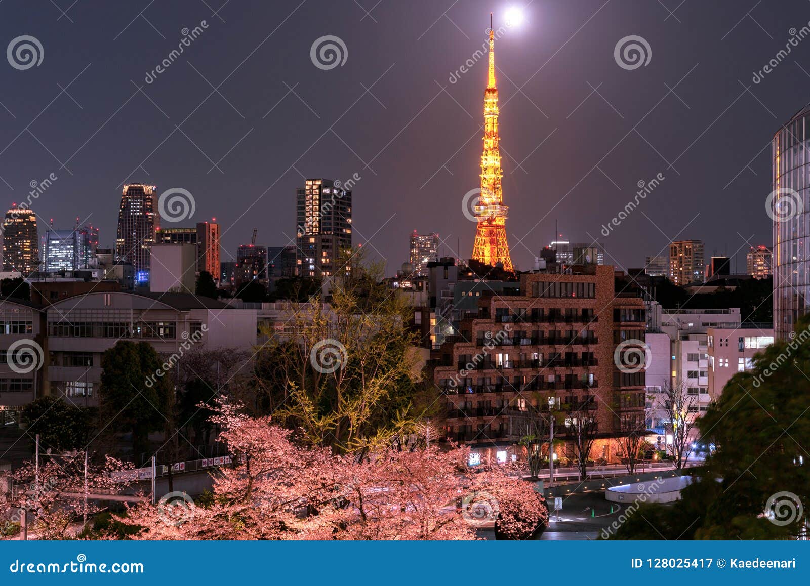 六本木 东京 日本 18年3月26日 的樱桃进展与东京塔的夜观点作为背景在mori庭院 T的photoed 图库摄影片 图片包括有在mori庭院 T的photoed