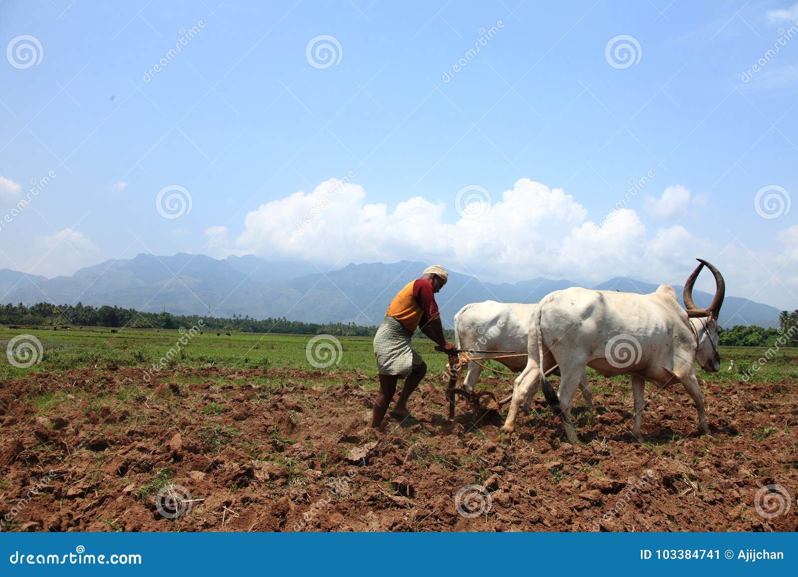 农夫犁农业领域编辑类照片. 图片包括有农村, 聚