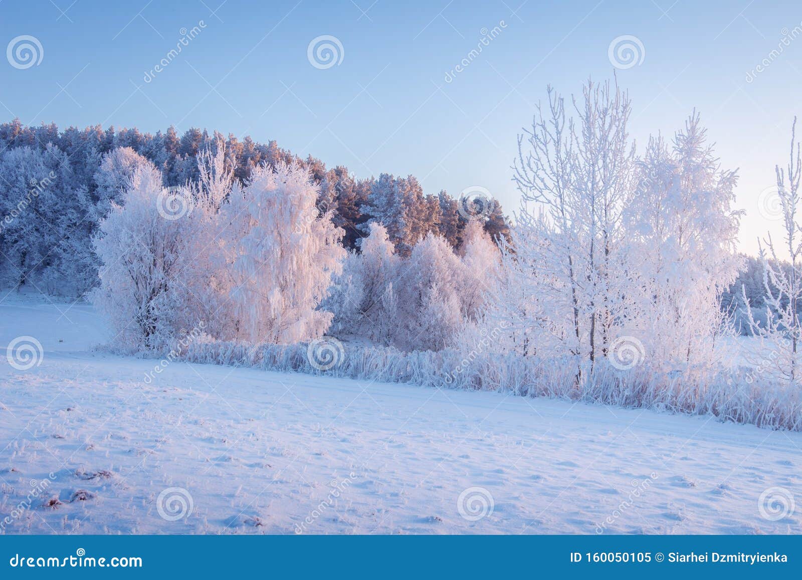 冬季场景风景如画的早晨的霜雪晨光中的雪冬景观美丽的冰冷自然库存图片 图片包括有美丽如画 结算 冬季场景风景如画的早晨的霜雪晨光中的雪冬景观美丽的冰冷自然库存图片 图片包括有美丽如画 结算