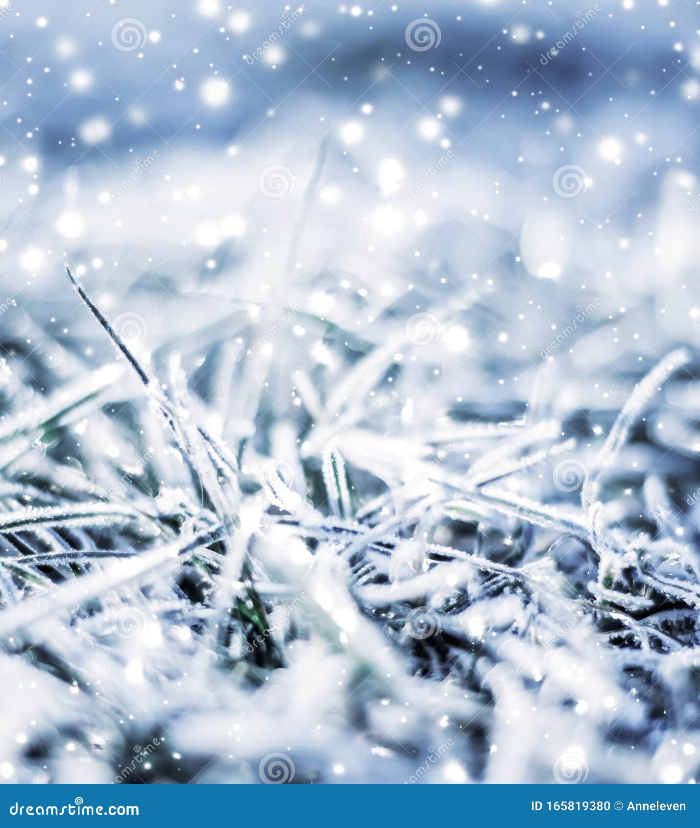 冬日假期背景 自然风景 亮雪 寒冷的圣诞节库存照片 图片包括有背包 冷淡 场面 焕发 工厂
