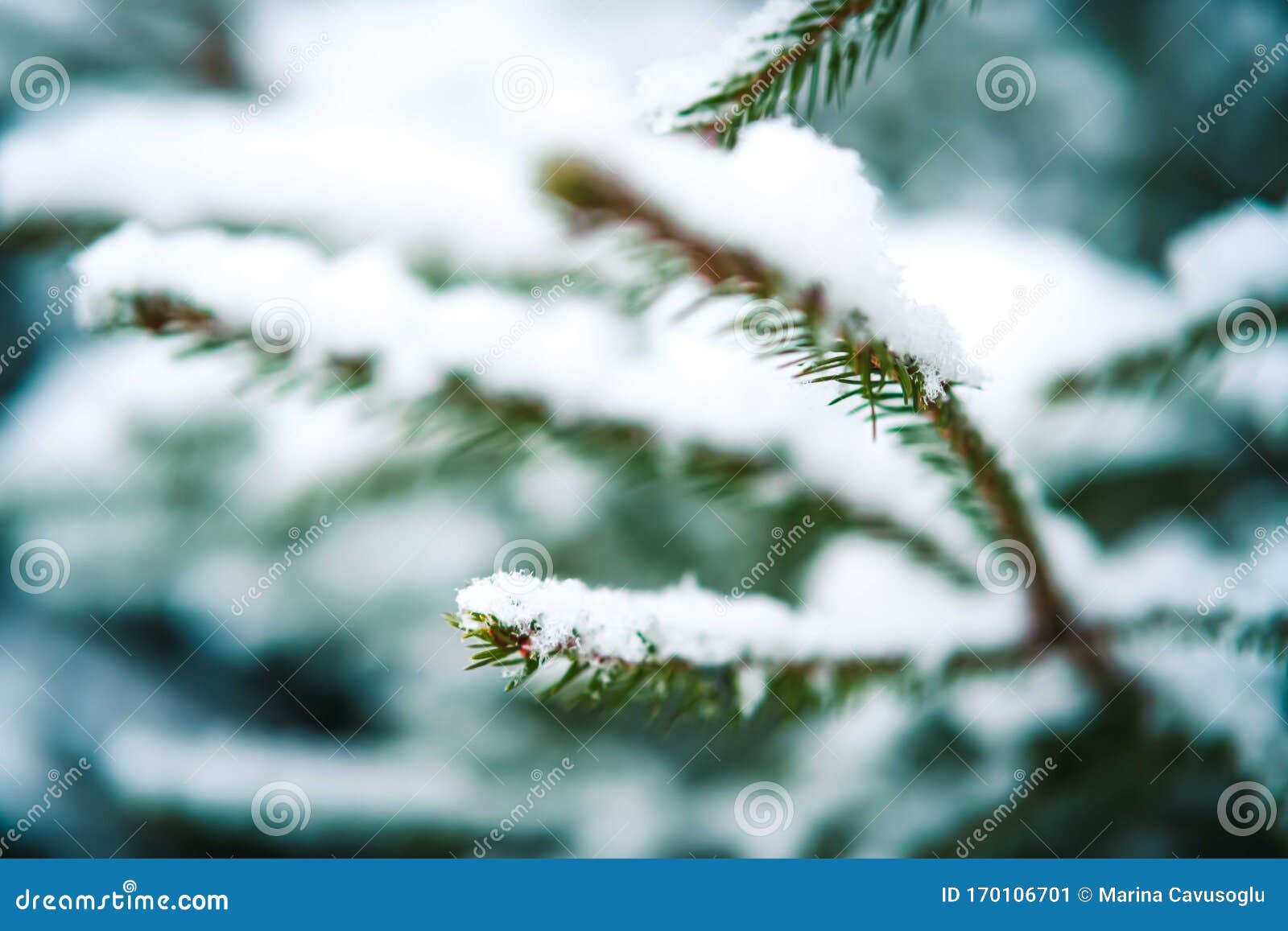 冬雪背景库存图片 图片包括有冬雪背景 冬雪背景库存图片 图片包括有冬雪背景