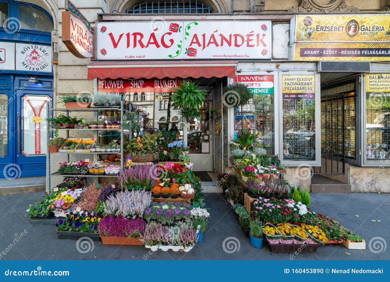匈牙利布达佩斯花店编辑类图片 图片包括有户外 园艺 一堆 市场 关闭 生气勃勃 选择