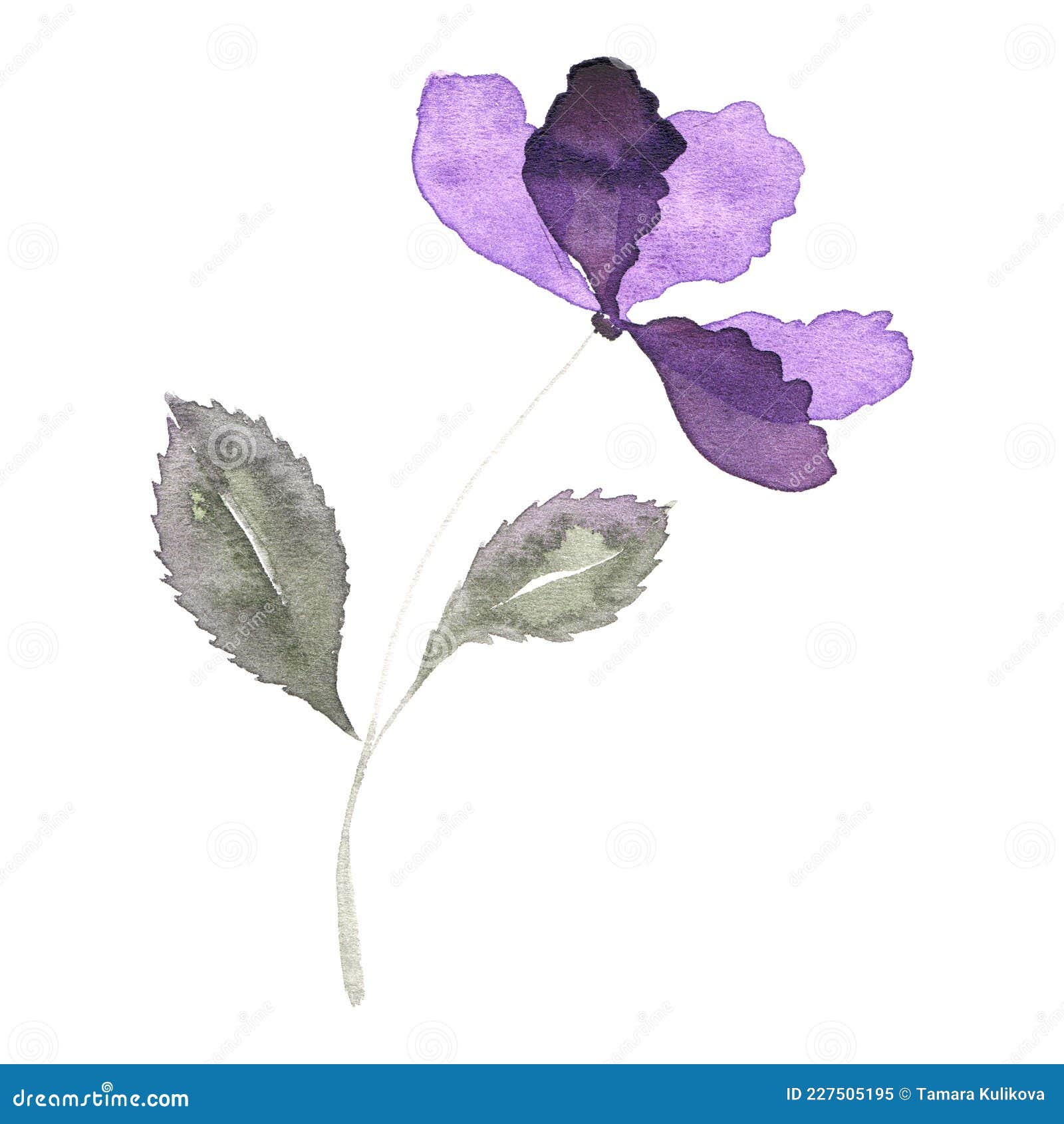 半透明花瓣重叠的浅色花库存例证 插画包括有树荫 主题 重叠 优美 绘画 花瓣 艺术性 半透明花瓣重叠的浅色花库存例证 插画包括有树荫 主题 重叠 优美 绘画 花瓣 艺术性