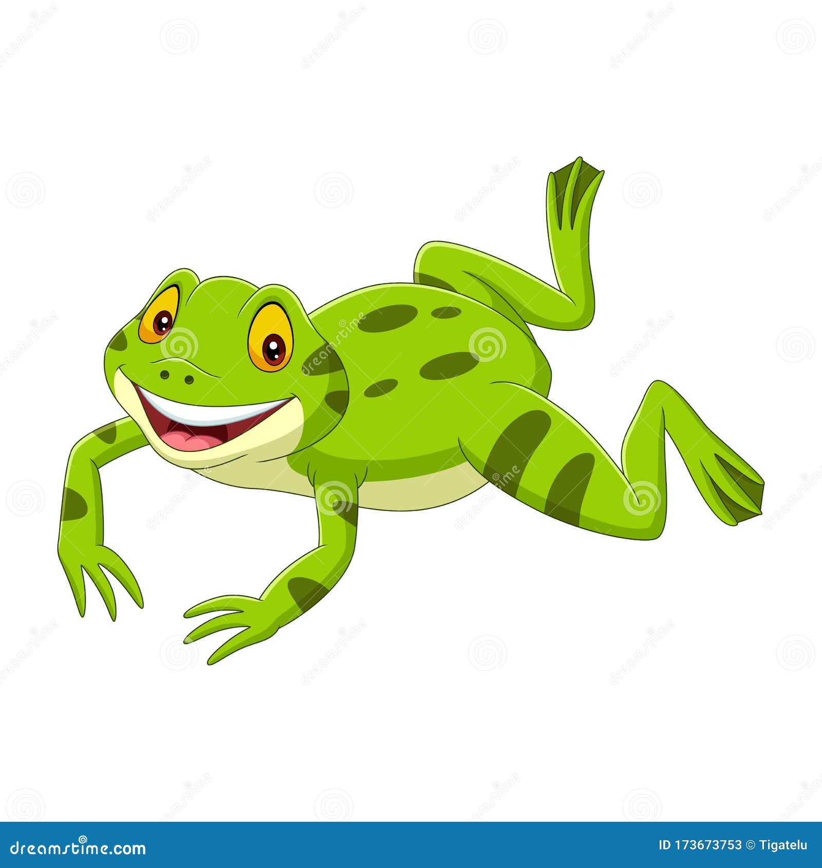 卡通喜绿蛙跳向量例证 插画包括有卡通喜绿蛙跳