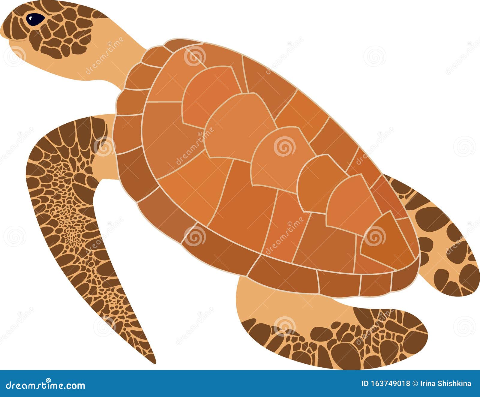 卡通棕海龟矢量插图海洋生物向量例证 插画包括有敌意 动画片 符号 查出 滑稽 敬慕 卡通棕海龟矢量插图海洋生物向量例证 插画包括有敌意 动画片 符号 查出 滑稽 敬慕