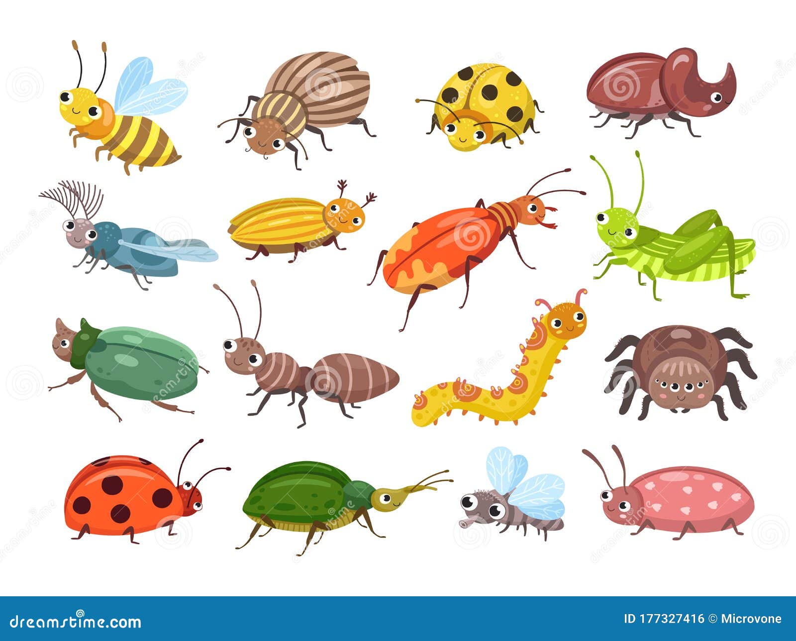 甲蟲 卡通
