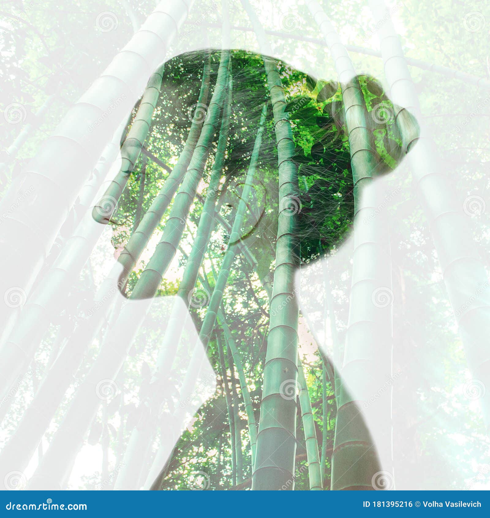双曝绿竹树女画像库存照片 图片包括有自然 现代 幻想 人员 绿色 概念性 题头 风险