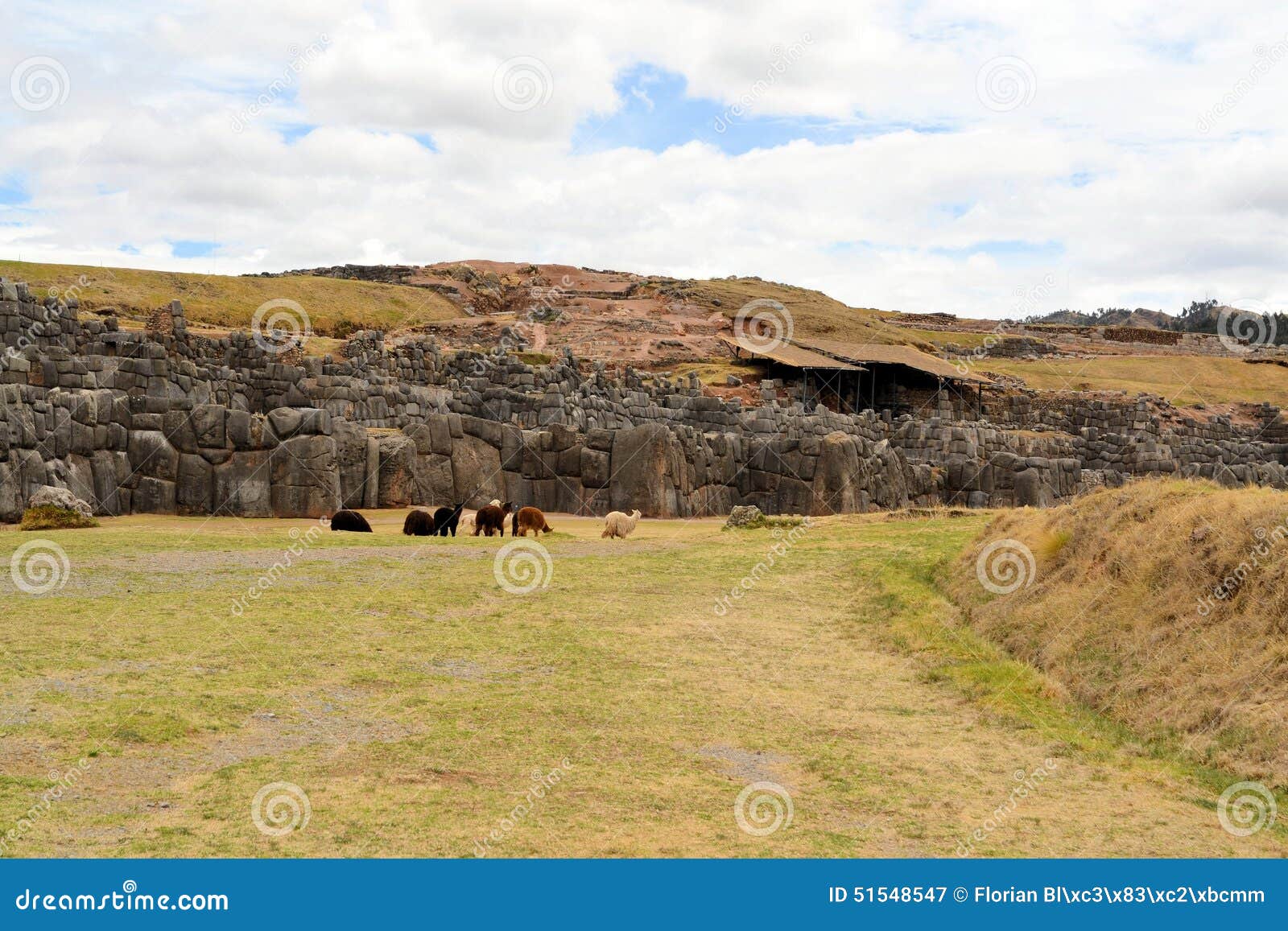 古老印加人堡垒Saksaywaman，库斯科，秘鲁 库存图片. 图片 包括有 小山, 剪切, 公园, 印加人 - 51548547