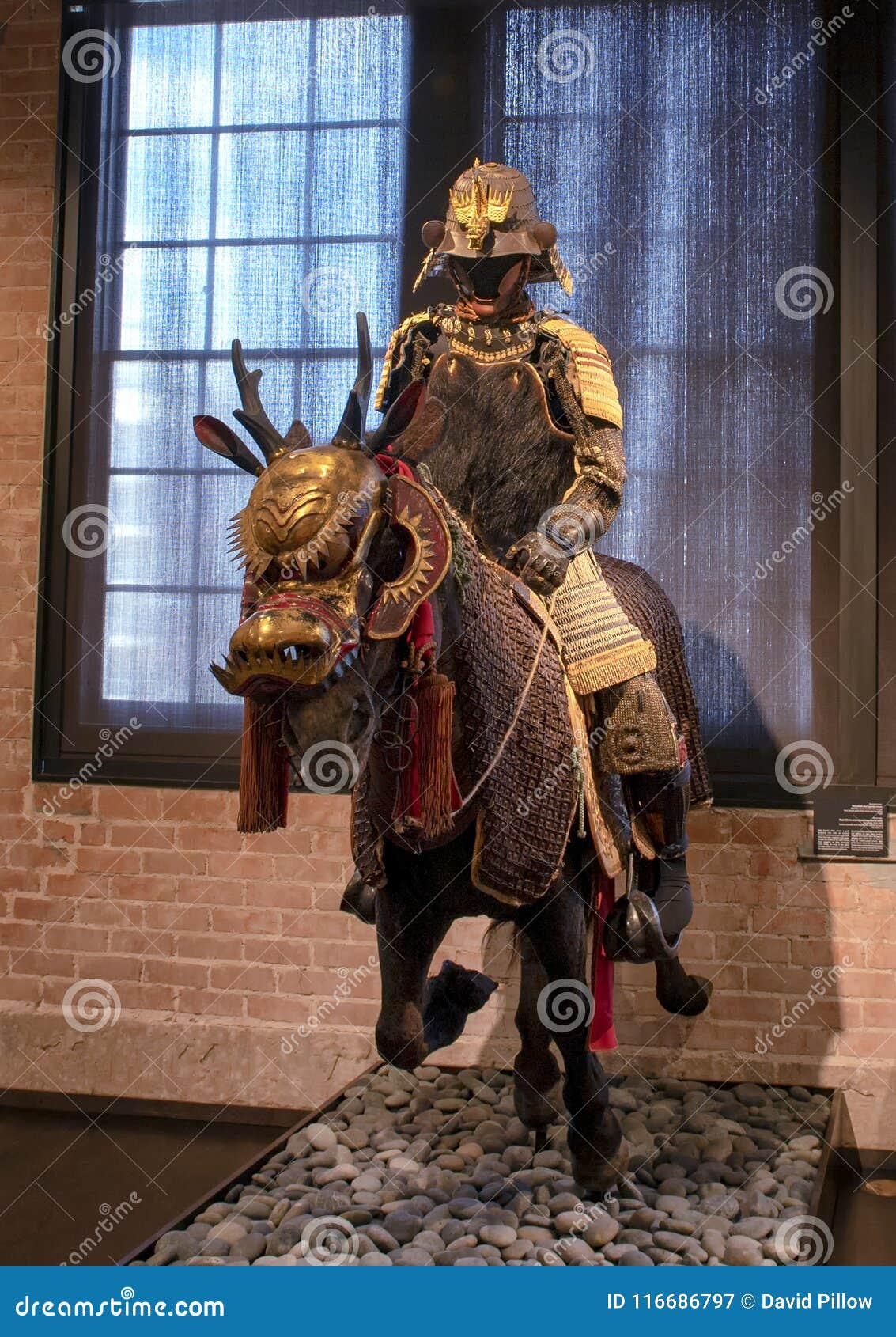 古老武士在马背上 达拉斯 得克萨斯图库摄影片 图片包括有诉讼 臂章 镇痛药 达拉斯 屏蔽