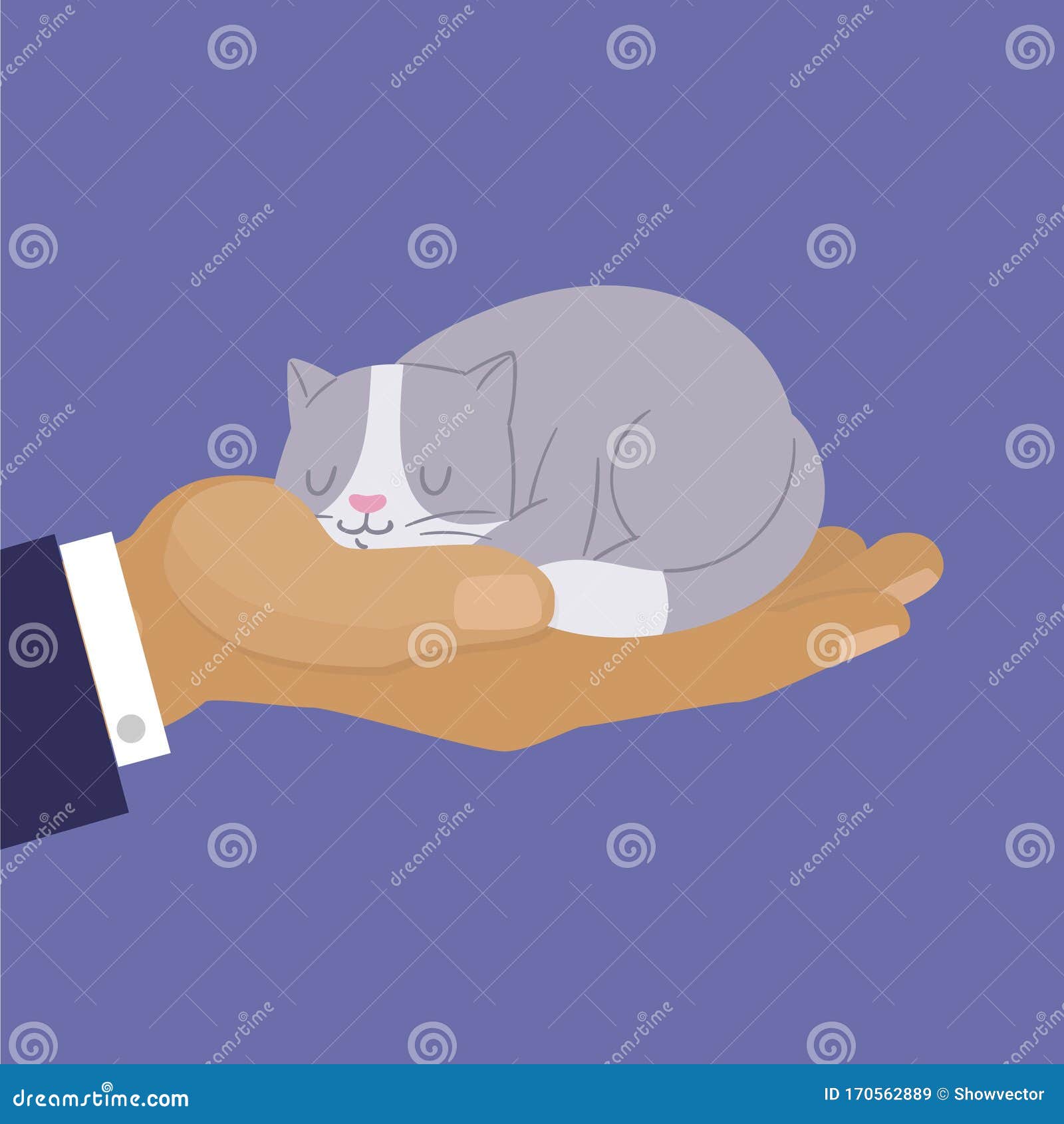 可爱的猫 卡通小猫在人类手上梦想的图画灰白猫手家养宠物向量例证 插画包括有梦想 嬉戏 可爱的猫 卡通小猫在人类手上梦想的图画灰白猫手家养宠物向量例证 插画包括有梦想 嬉戏