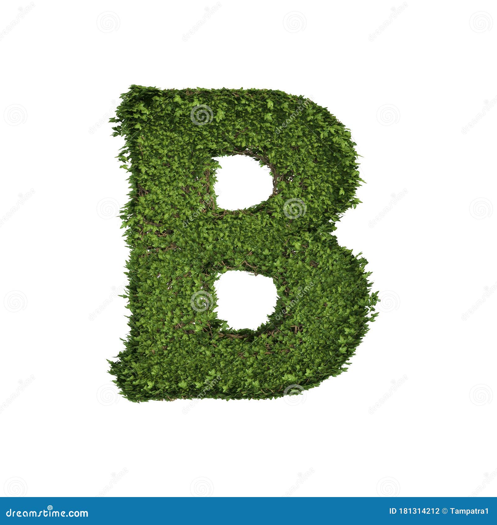 叶 青藤 藤形字母b的常春藤植物 以白色隔离的英文字母文字字库存例证 插画包括有独自一个 醉汉 叶 青藤 藤形字母b的常春藤植物 以白色隔离的英文字母文字字库存例证 插画包括有独自一个 醉汉