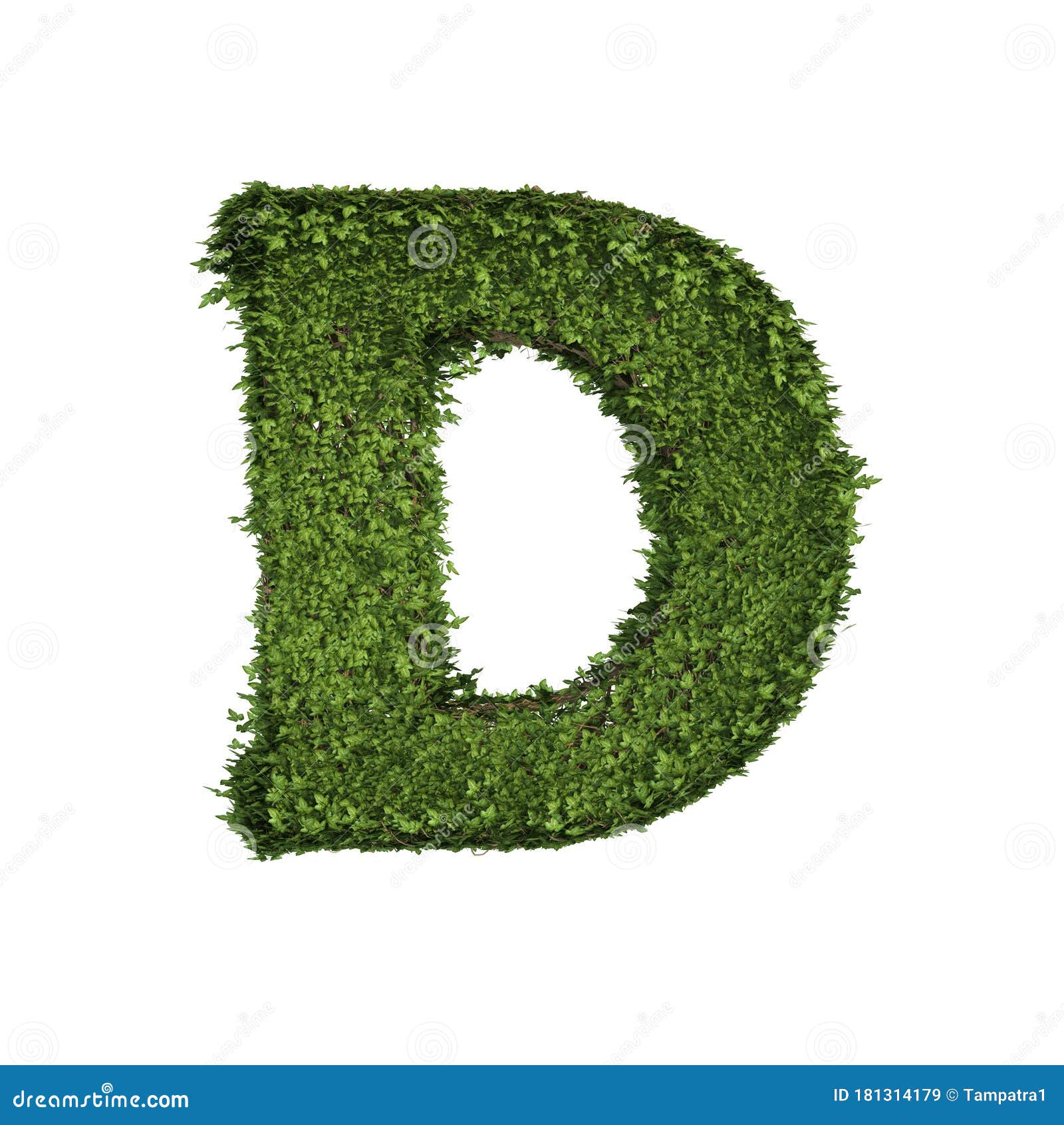 叶 青藤 藤形字母d的常春藤植物 以白色隔离的英文字母文字字库存例证 插画包括有绿色 独自一个 叶 青藤 藤形字母d的常春藤植物 以白色隔离的英文字母文字字库存例证 插画包括有绿色 独自一个