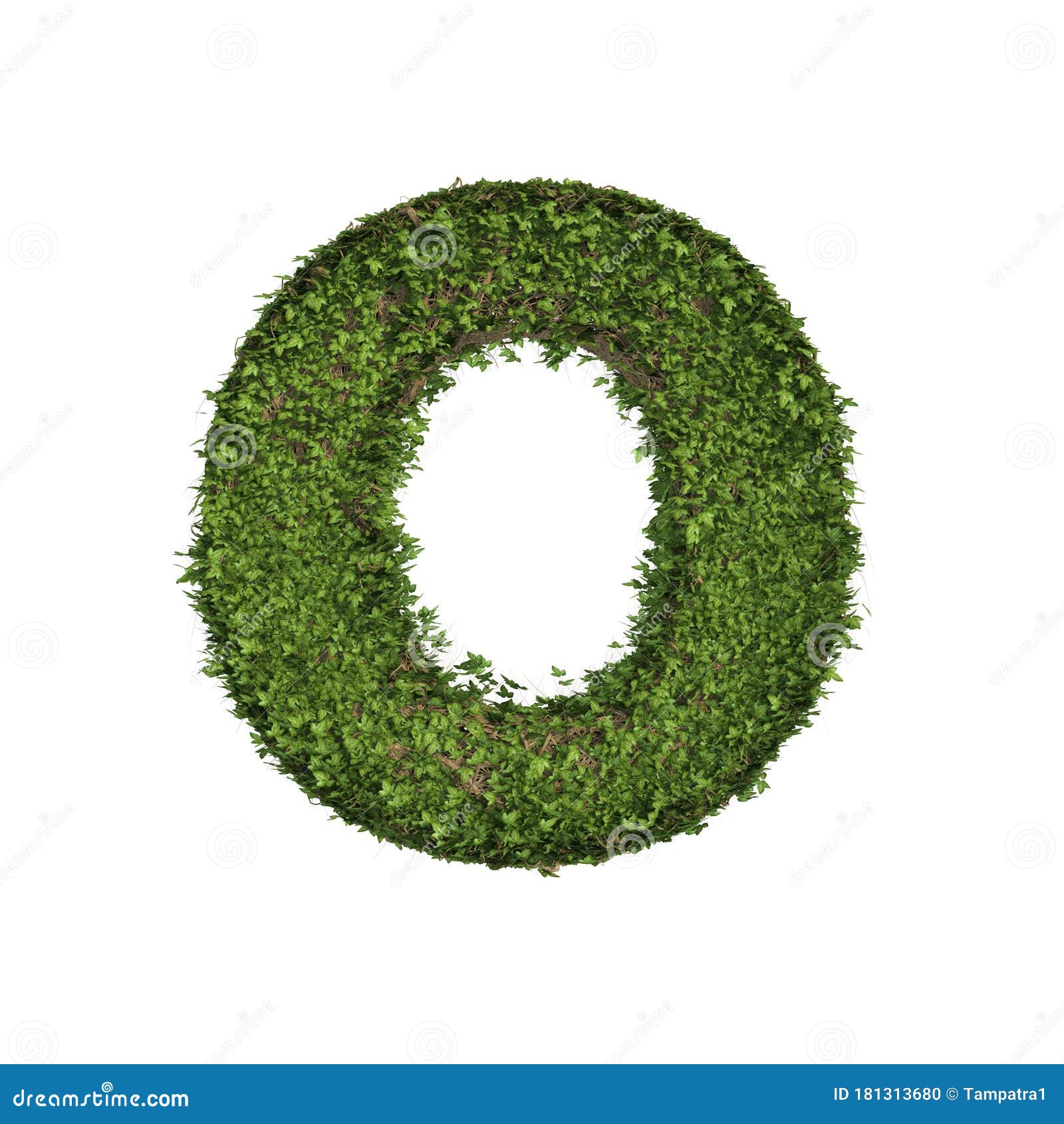 叶 青藤 藤形字母o的常春藤植物 以白色隔离的英文字母文字字库存例证 插画包括有模式 符号 叶 青藤 藤形字母o的常春藤植物 以白色隔离的英文字母文字字库存例证 插画包括有模式 符号
