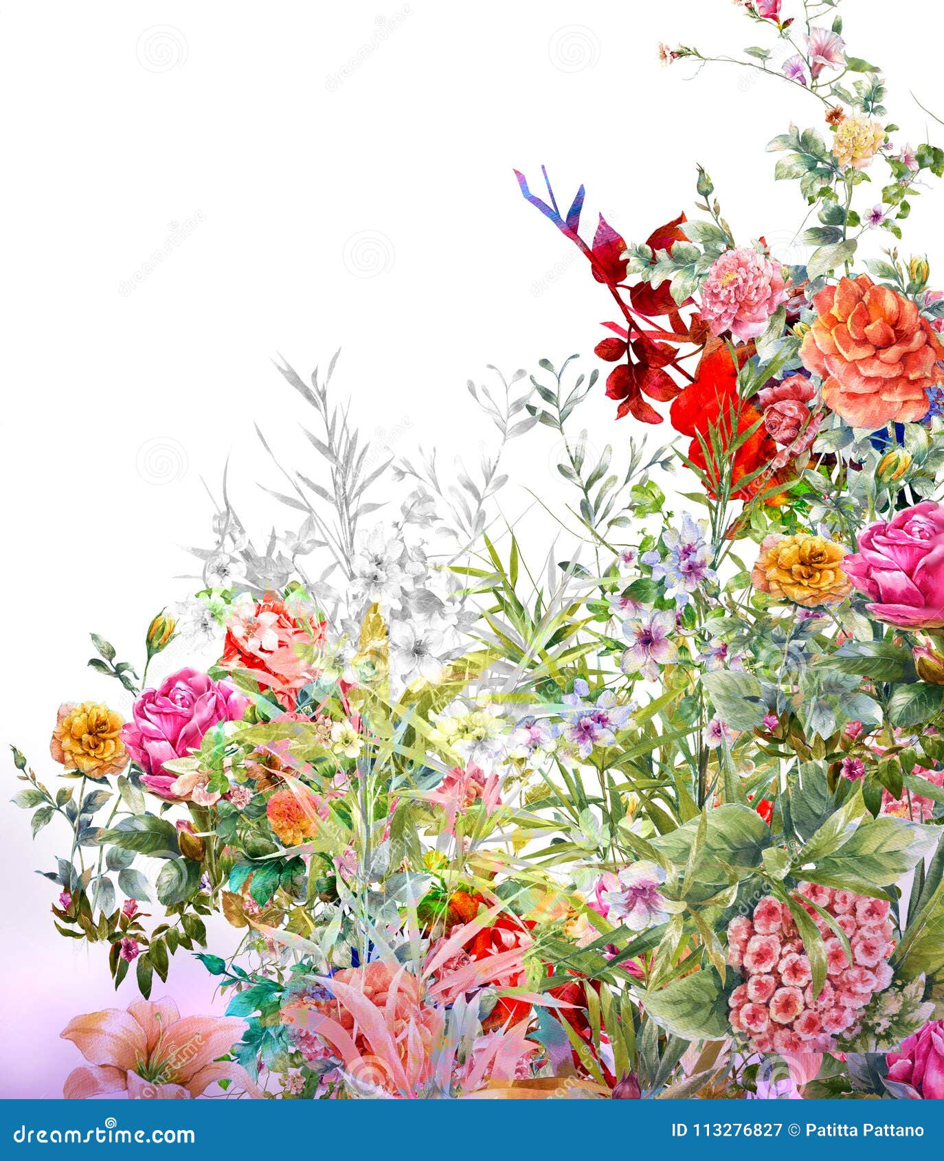 叶子和花水彩绘画 在白色库存例证 插画包括有 叶子和花水彩绘画 在白色库存例证 插画包括有