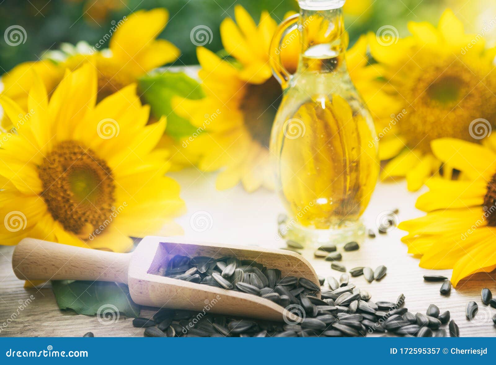 向日葵花玻璃瓶中葵花油库存图片 图片包括有原始 玻璃 饱和 种子 化妆用品 行业 工厂 向日葵花玻璃瓶中葵花油库存图片 图片包括有原始 玻璃 饱和 种子 化妆用品 行业 工厂