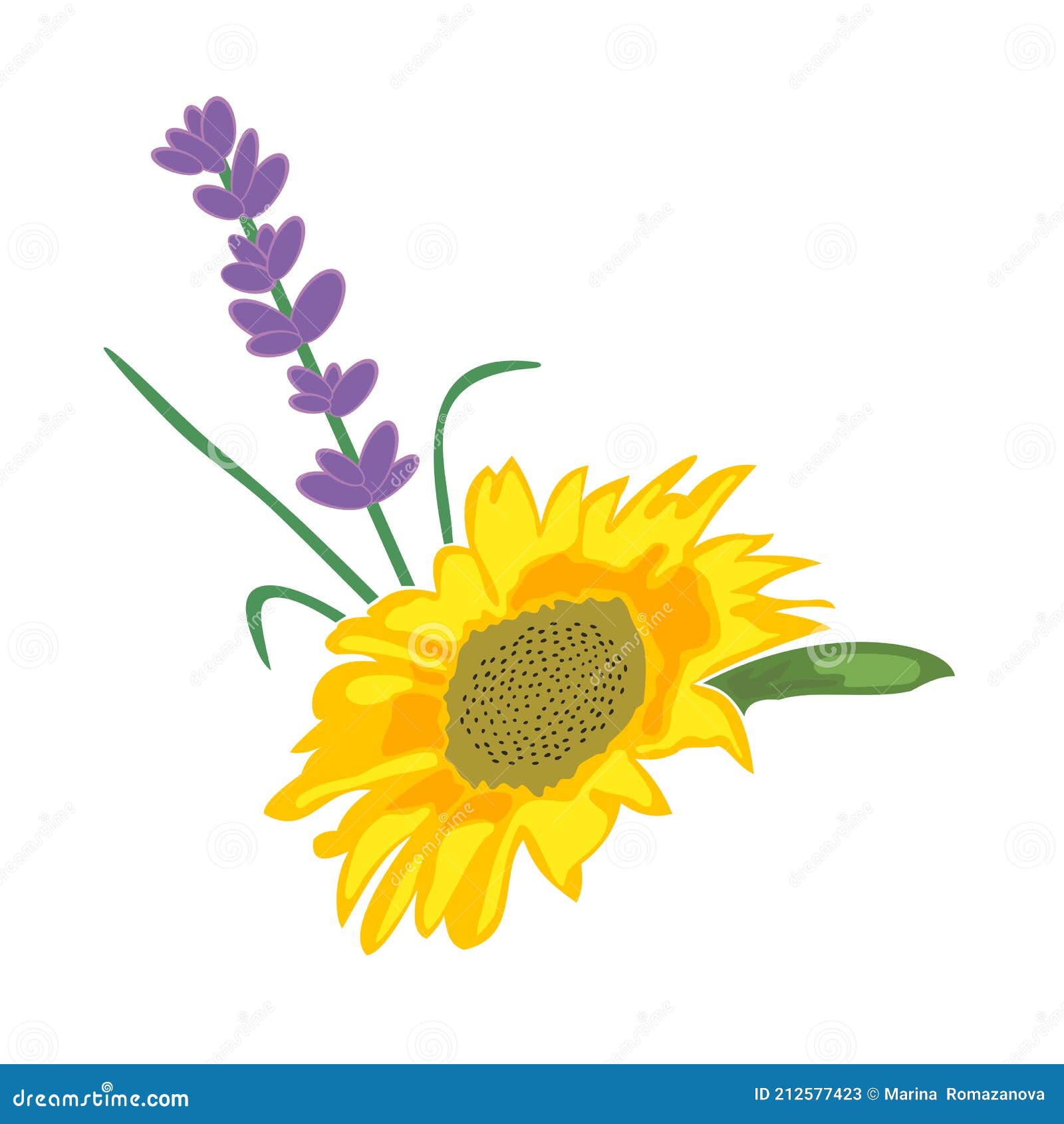 向日葵芽和薰衣草小树枝 向量例证 插画包括有玻色子 丁香 例证 仪式 互联网 图象 欢乐 向日葵芽和薰衣草小树枝 向量例证 插画包括有玻色子 丁香 例证 仪式 互联网 图象 欢乐