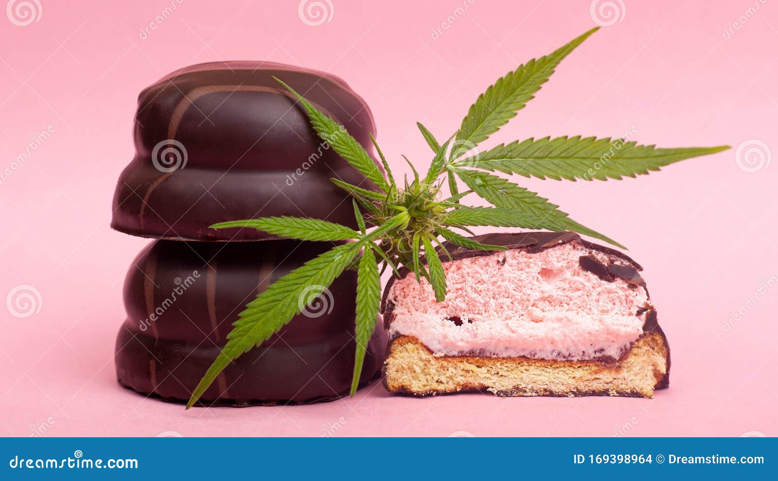 含thc的医用巧克力糖粉红色背景中的棉花糖和大麻芽库存照片 图片包括有药物 果仁巧克力 粉红色 含thc的医用巧克力糖粉红色背景中的棉花糖和大麻芽库存照片 图片包括有药物 果仁巧克力 粉红色