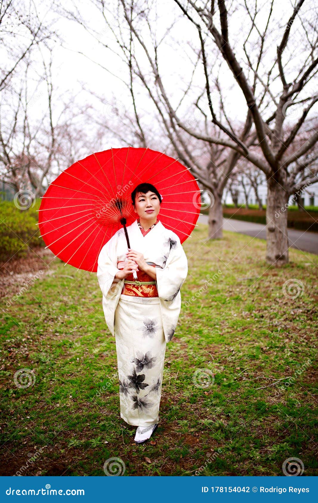 和服女人樱花库存照片 图片包括有开放 东京 航空 新建 国家 服装 春天 庭院 绽放
