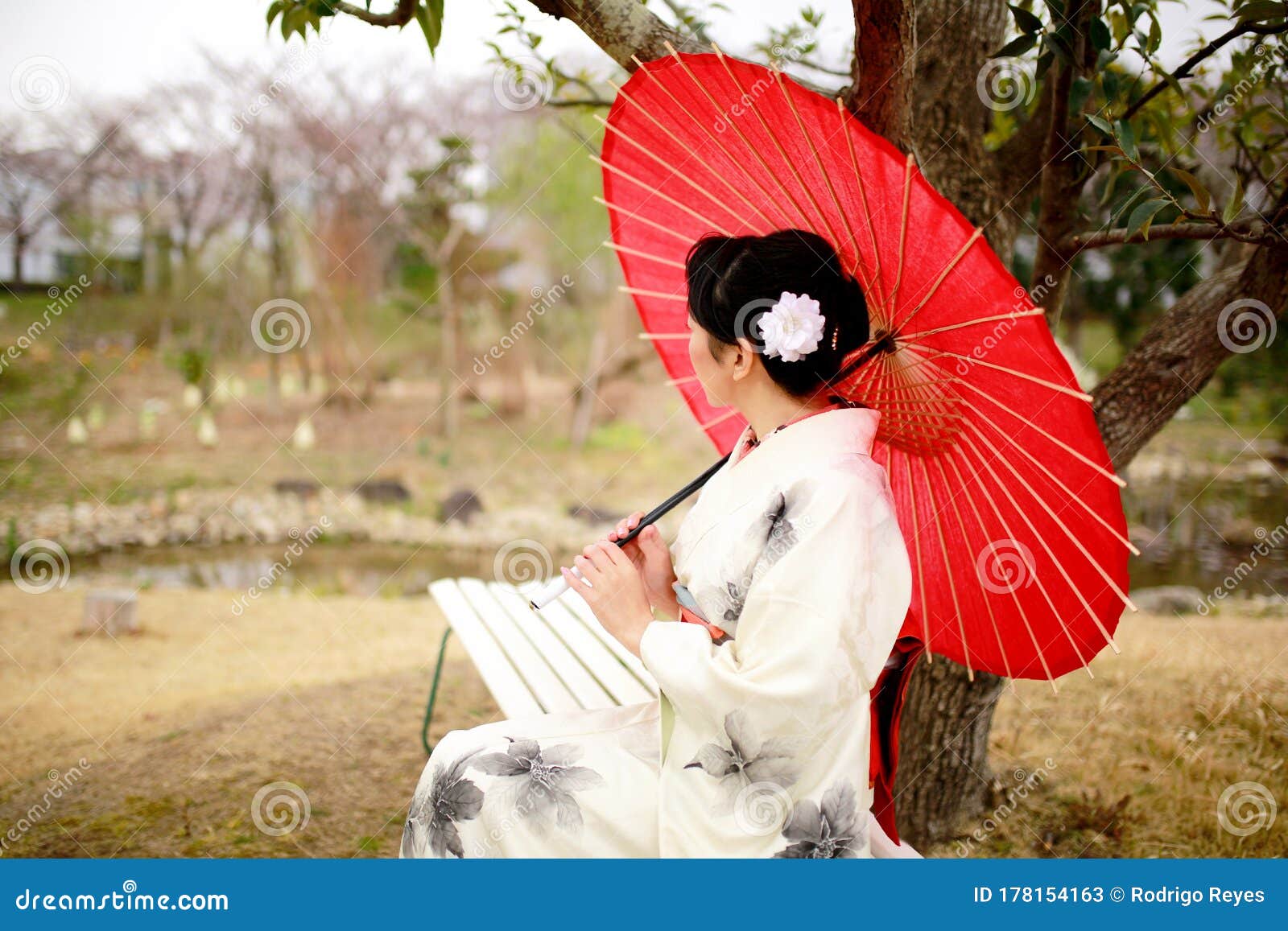 和服女人樱花库存图片 图片包括有白天 活动 和服 开放 庭院 东京 日本 纵向 文化