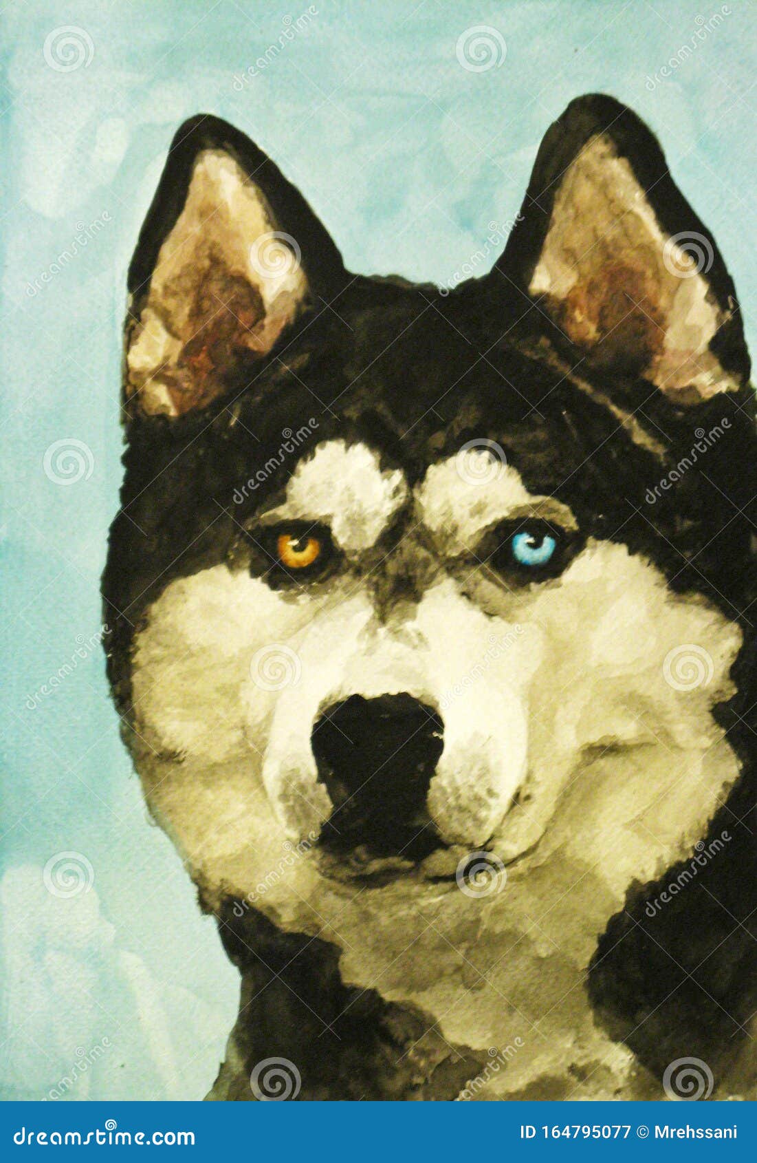 哈士奇犬水彩画库存例证 插画包括有多壳 颜色 可实现 纵向 绘画 题头 水彩 纸张 哈士奇犬水彩画库存例证 插画包括有多壳 颜色 可实现 纵向 绘画 题头 水彩 纸张