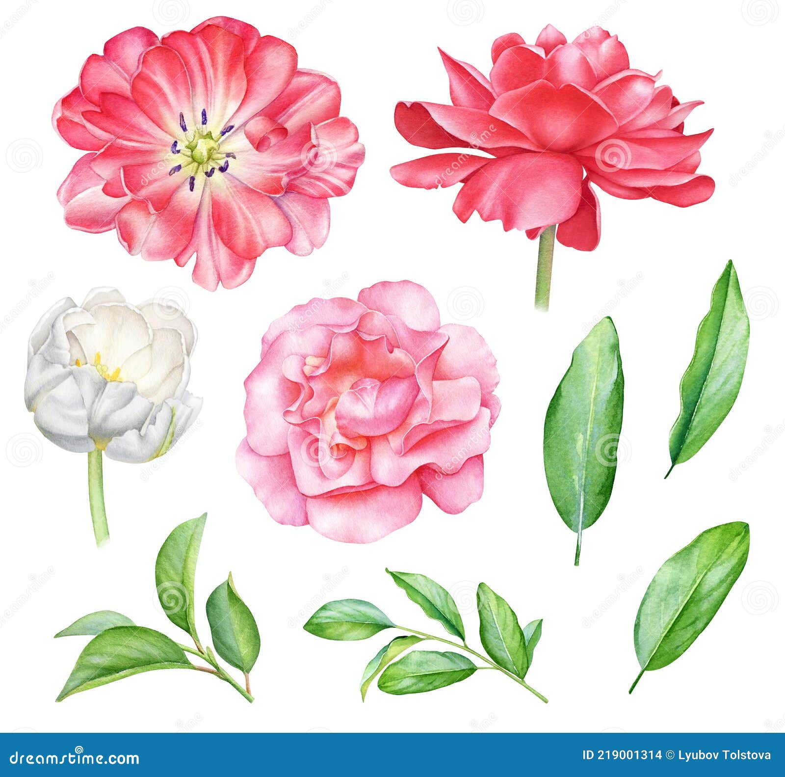 园林春夏花叶水彩插图库存例证 插画包括有花卉 五颜六色 典雅 附庸风雅 收集 花束 背包